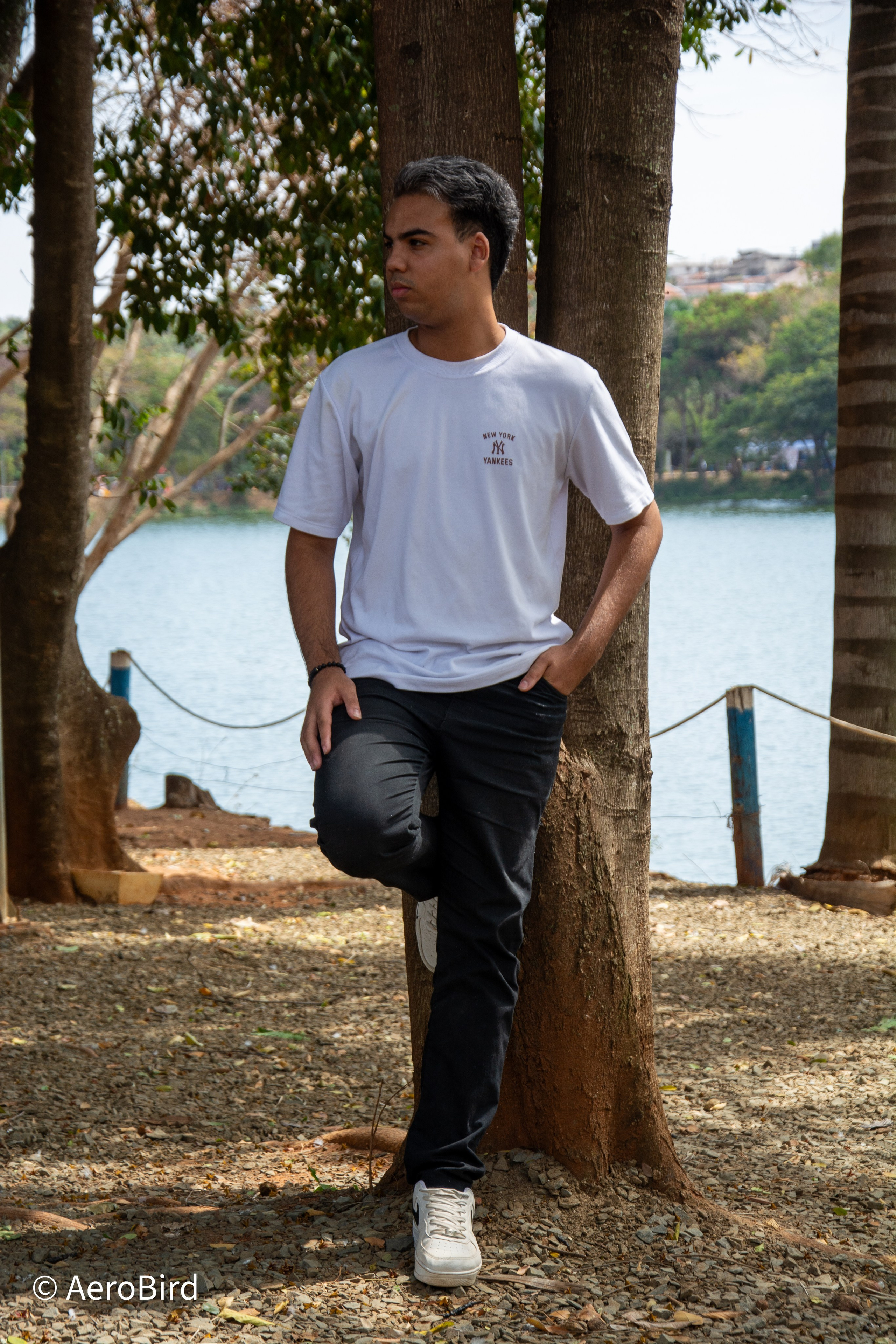 Ensaio Individual. AerobirdStudios
