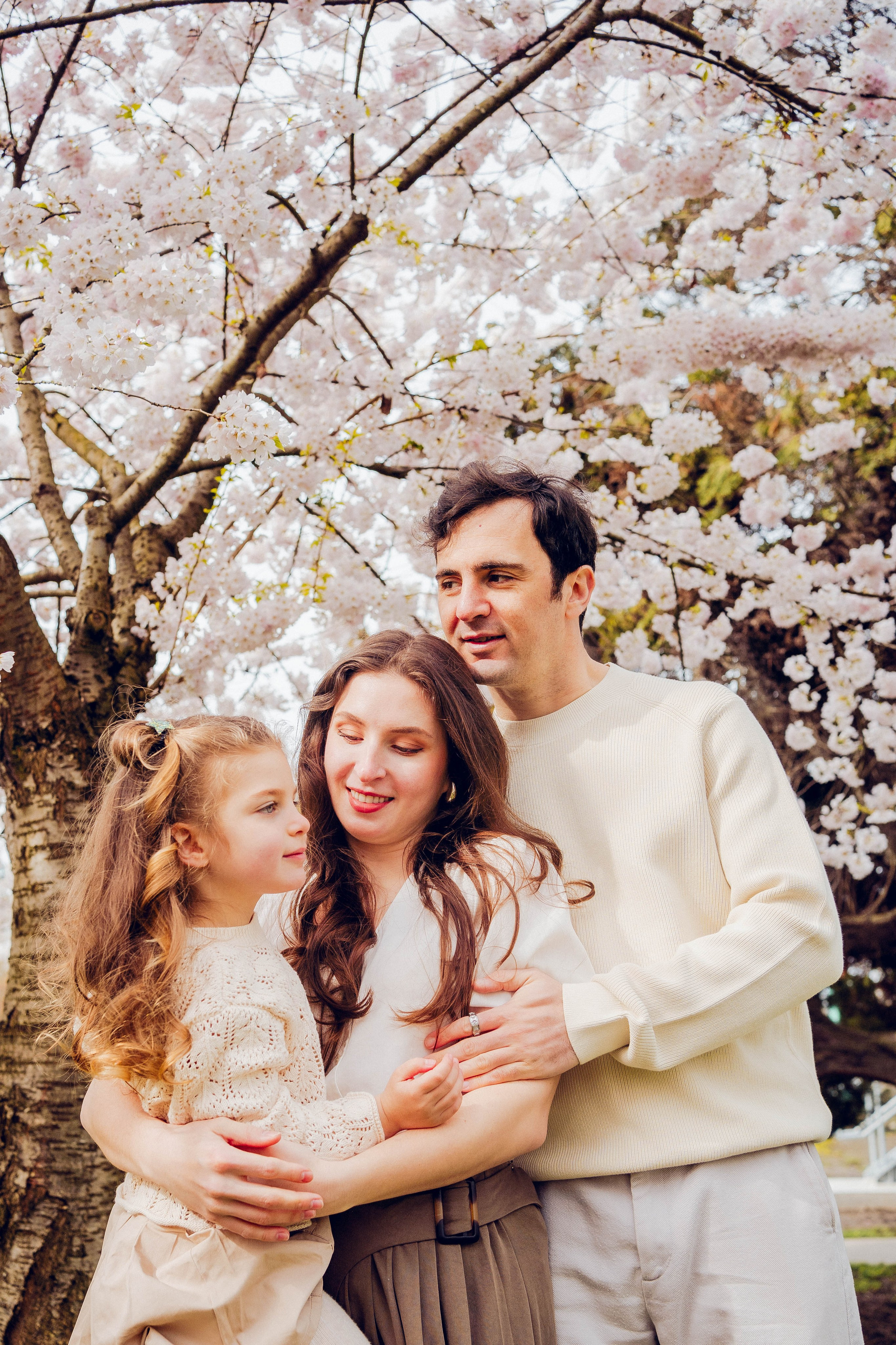 Cherry blossom. Photographer Lana