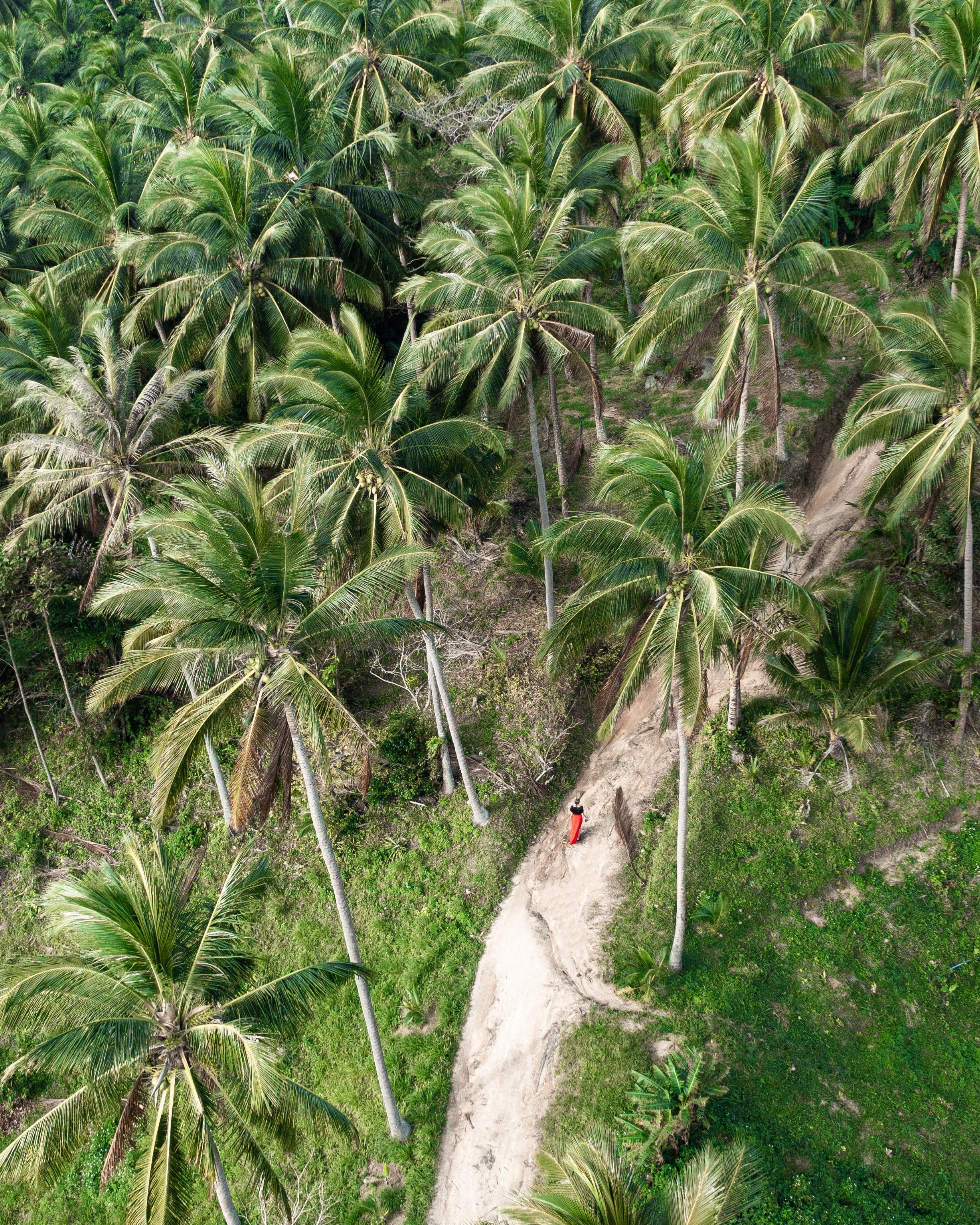 Drone. Filmmaker/ Photographer / Drone Pilot — Bangkok, Thailand
