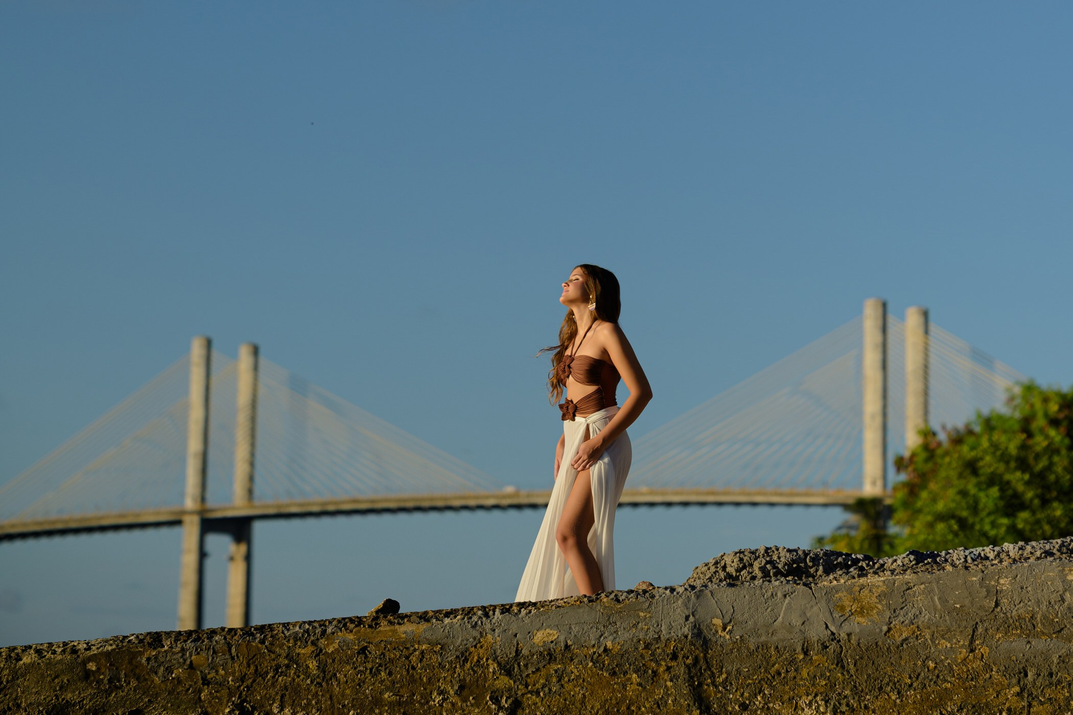 Ensaio de Debutante