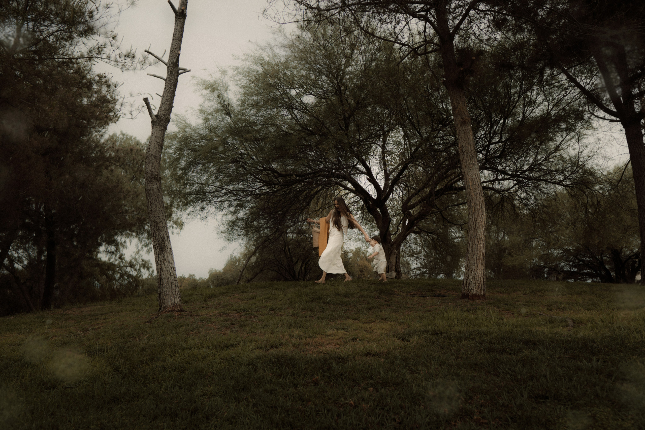 Carolina Flores. TWO MILLIMETERS