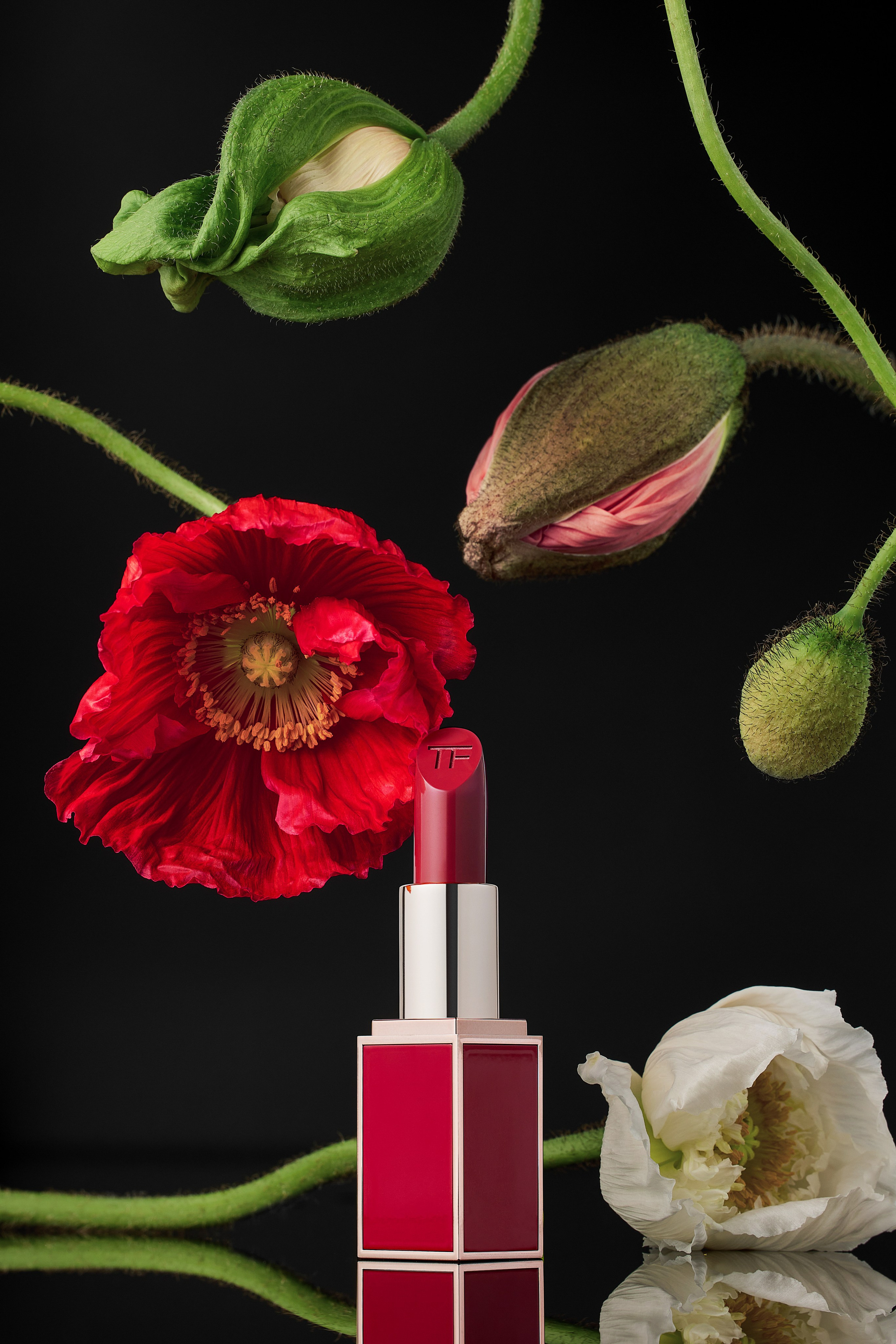Product Photography. Laira Studio — creative Portrait and Product Photography in Vancouver