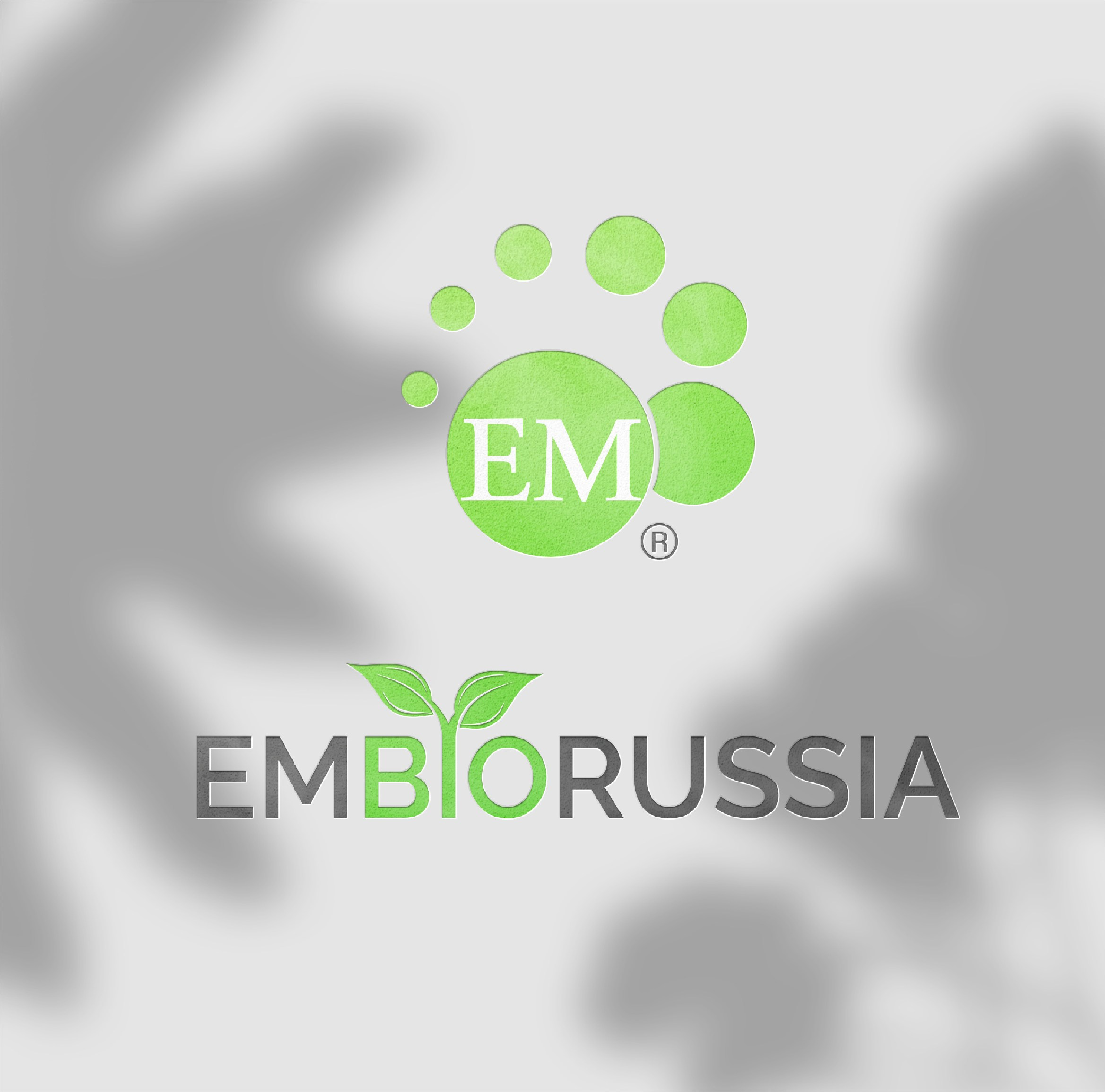 EMBIORUSSIA. Graphic Designer and Visual Creator