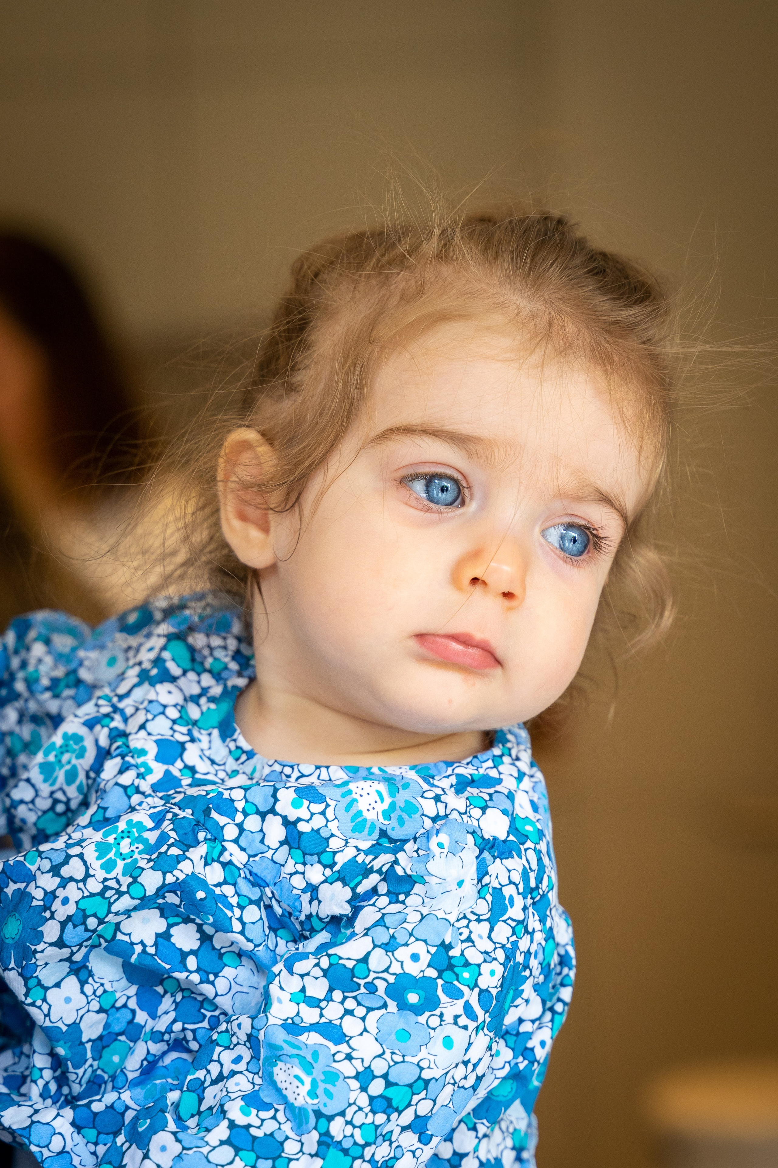 High-end Family Photographer