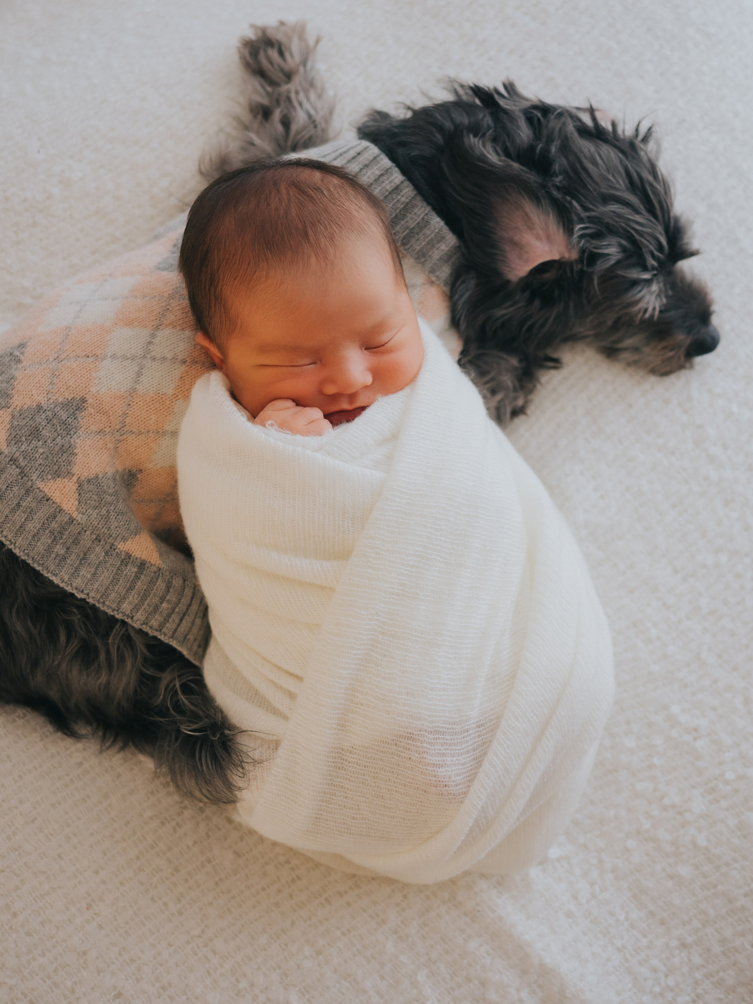 Bébé nouveau-né allongé emmailloté sur le chien.
