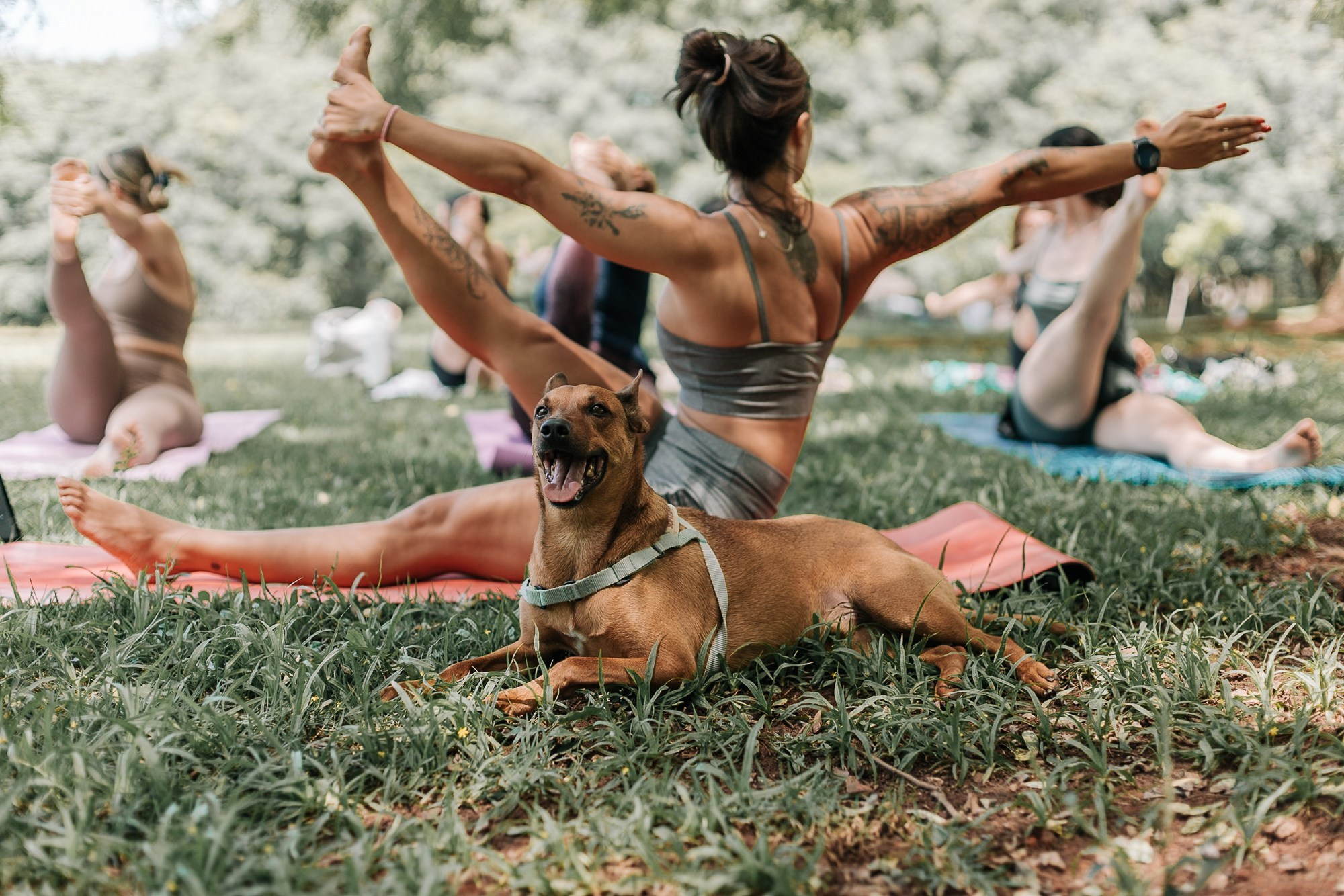 Yoga no Parque da Juventude — São Paulo /SP. Mareh Audiovisual
