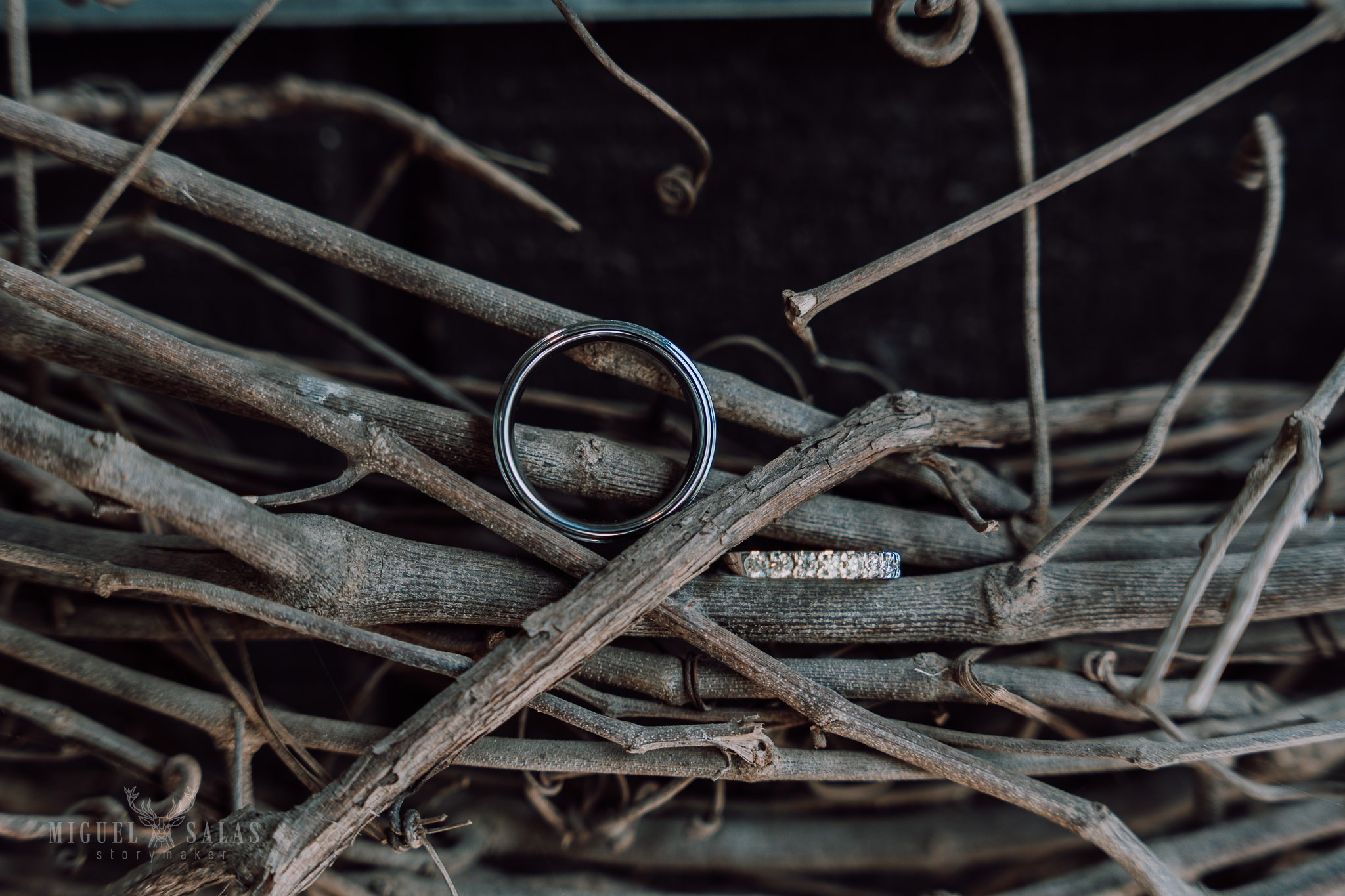 Fotógrafo de bodas en Querétaro