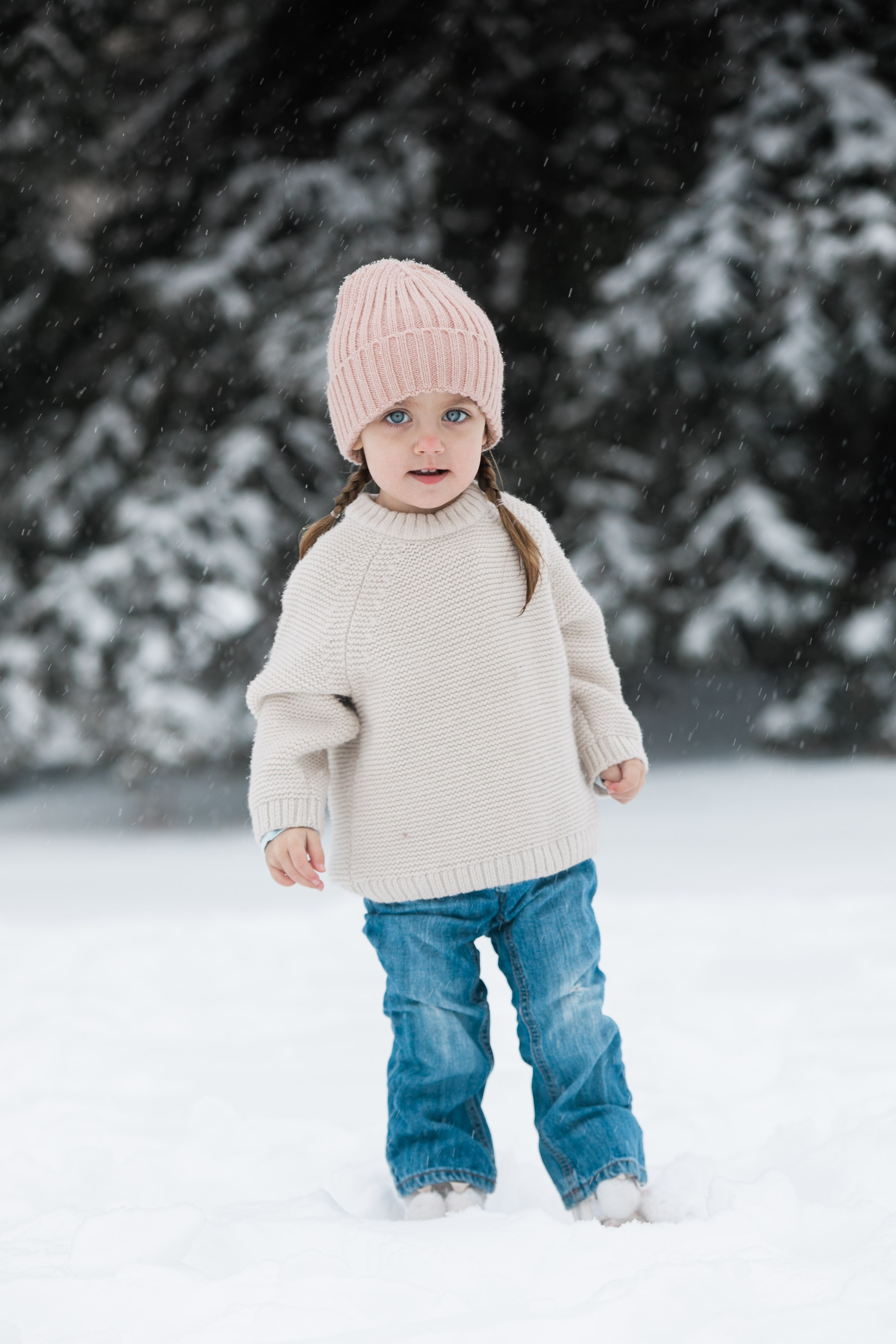Family Photos — Zacher. Ching Li Photography