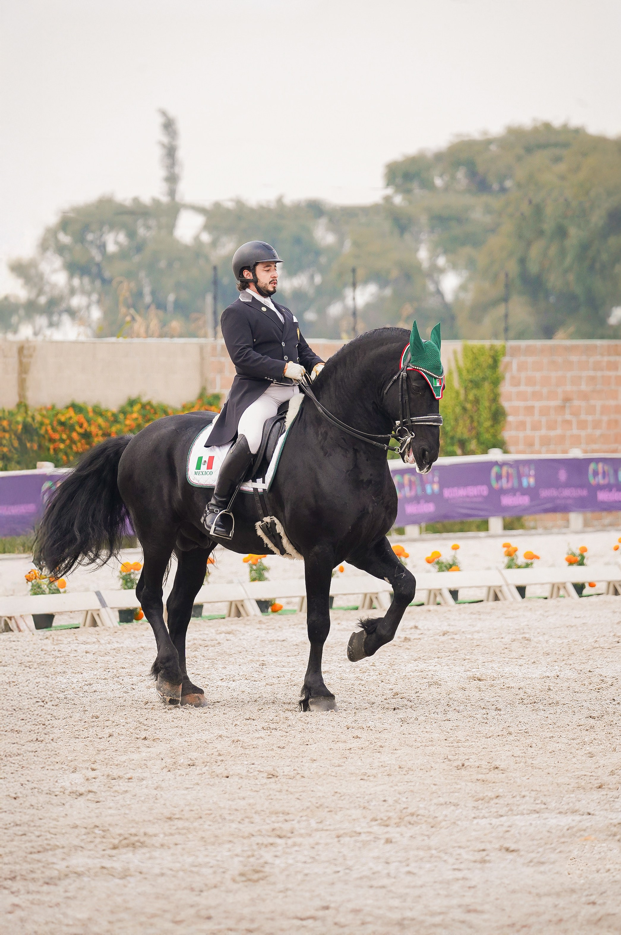 Vacation photoshoot in Mexico City. Capture your trip with a professional photographer. Horse riding dressage doma clasica show jumping Tour. Ekaterina Frolova photography