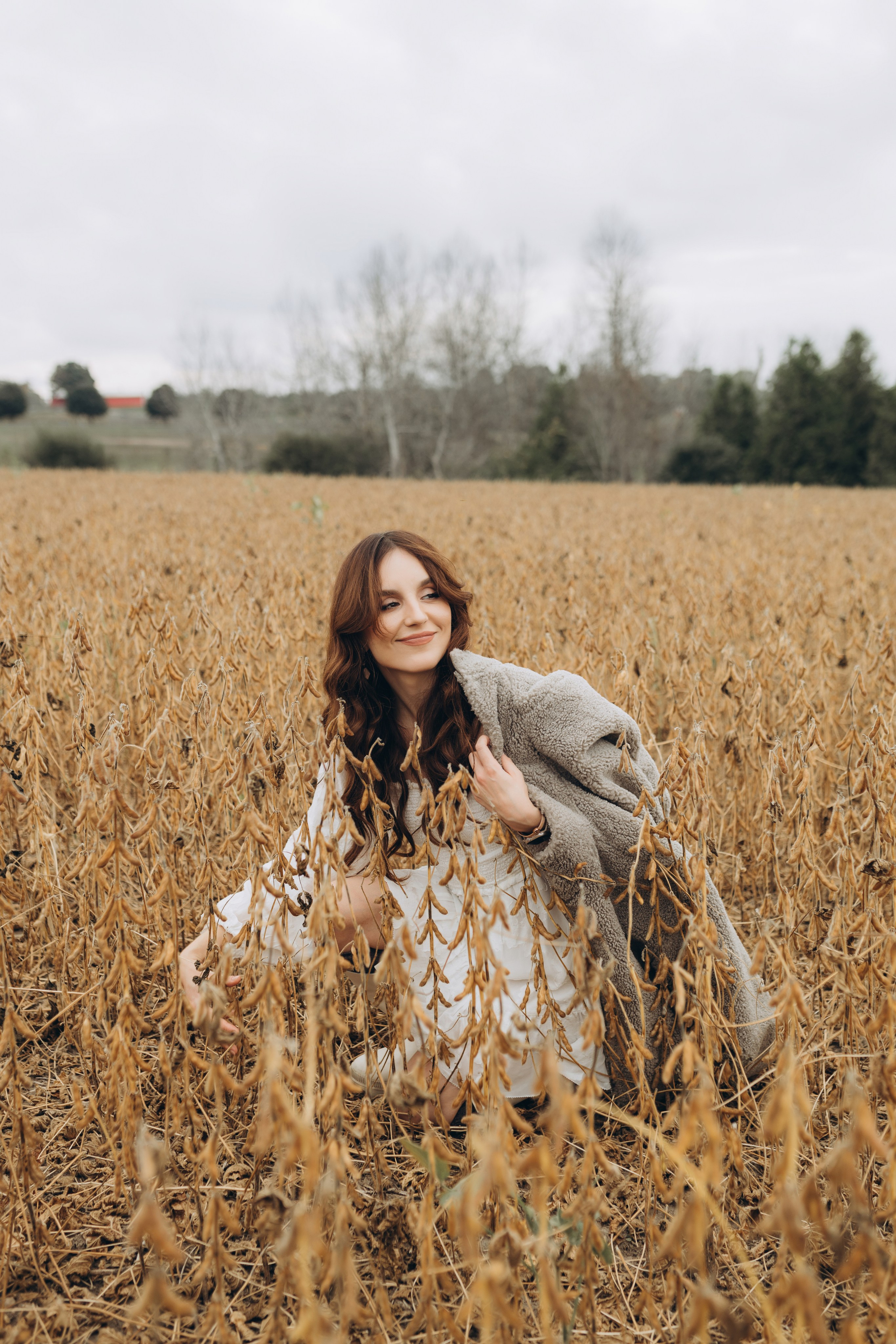 Alpacas Farm. Chernenko.photography