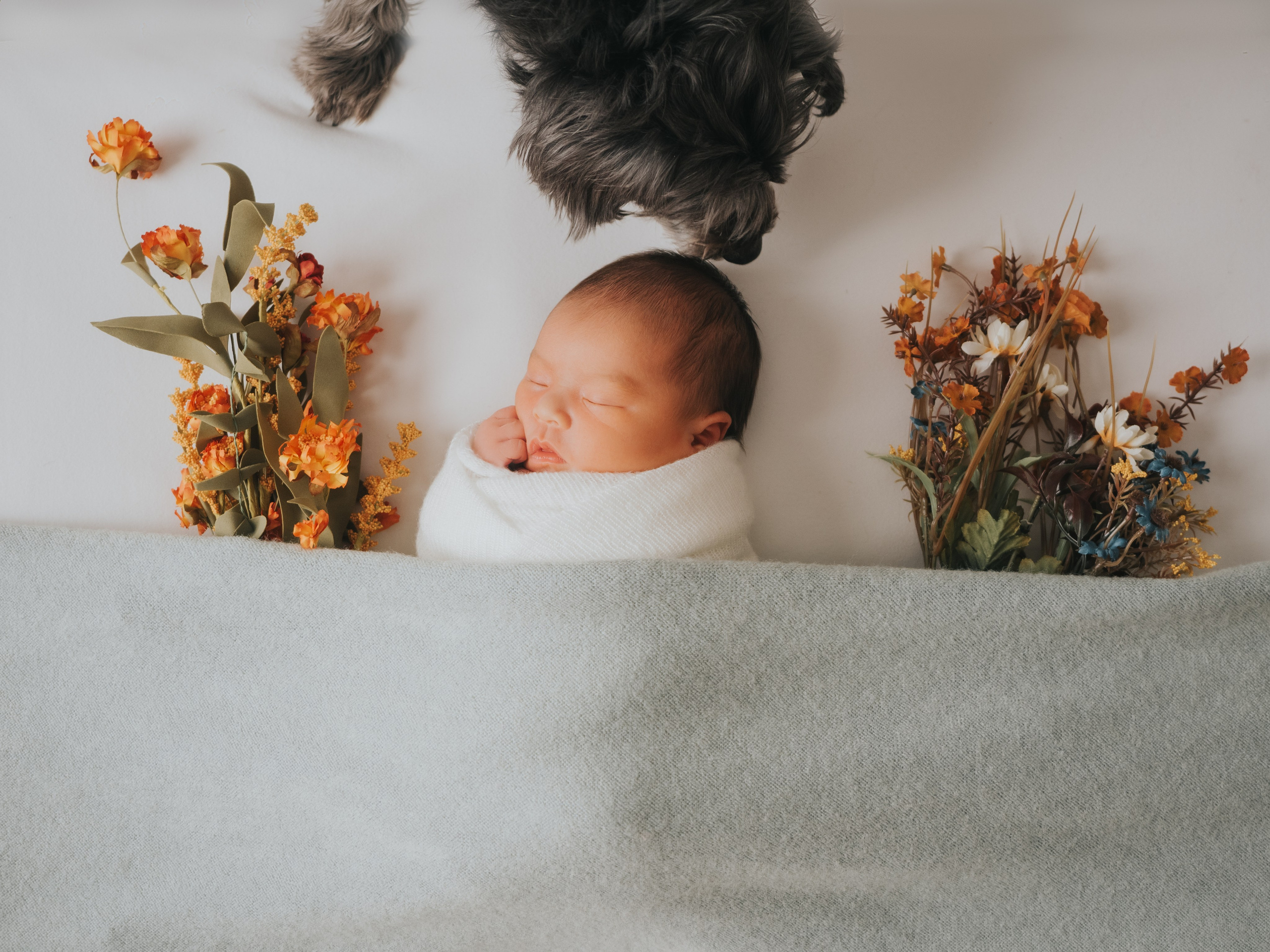 Nouveau-né sous une couverture avec des fleurs et un chien.