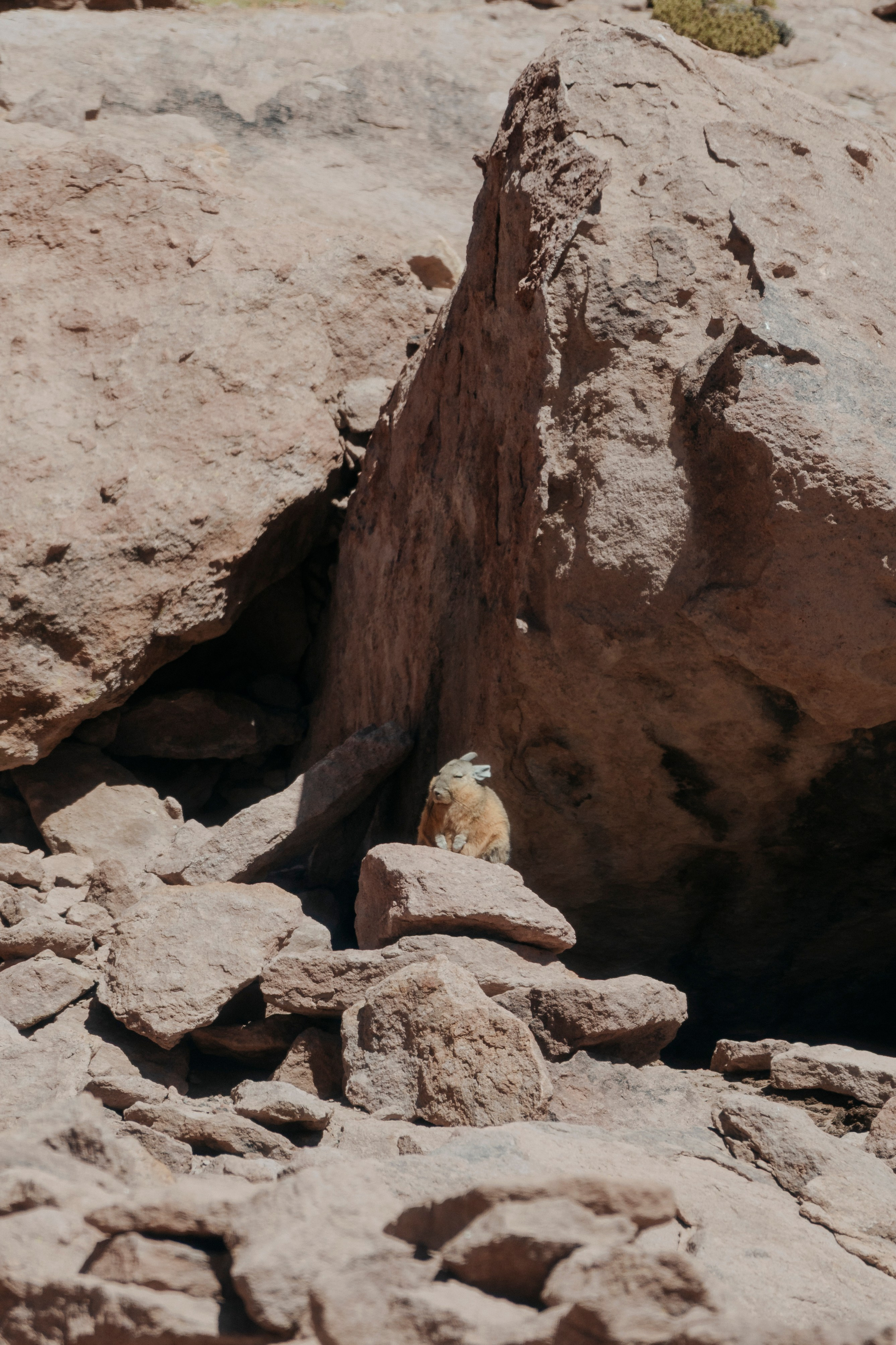 Cobertura de passeio — Geyser el Tatio. Fotógrafo em San Pedro de Atacama