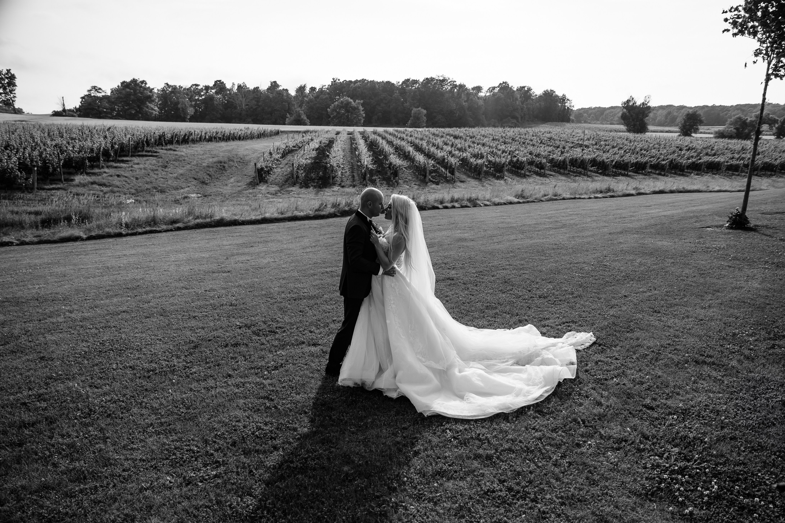 Weddings. Alex UA — Toronto photographer