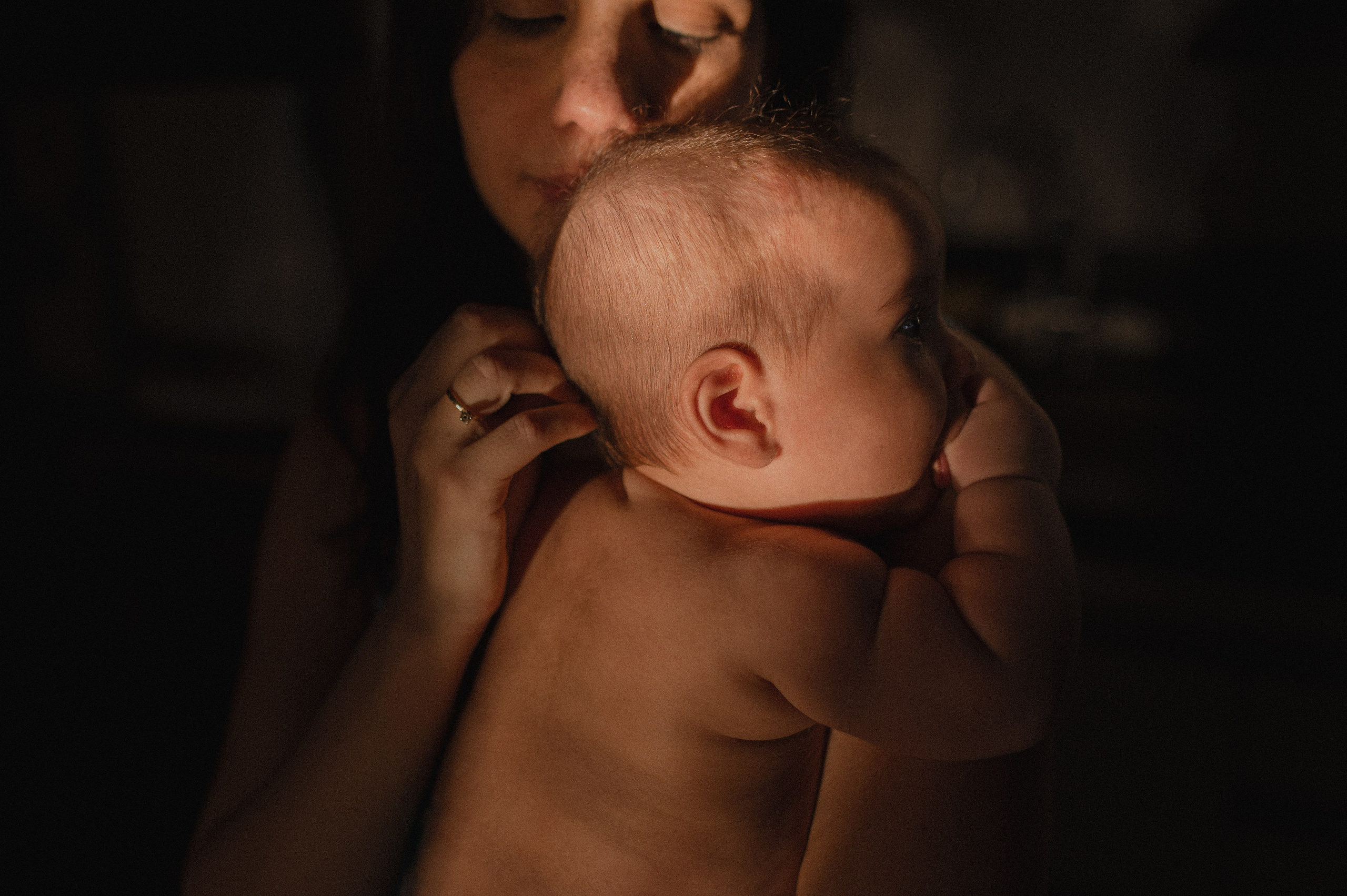 Ciclo da concha