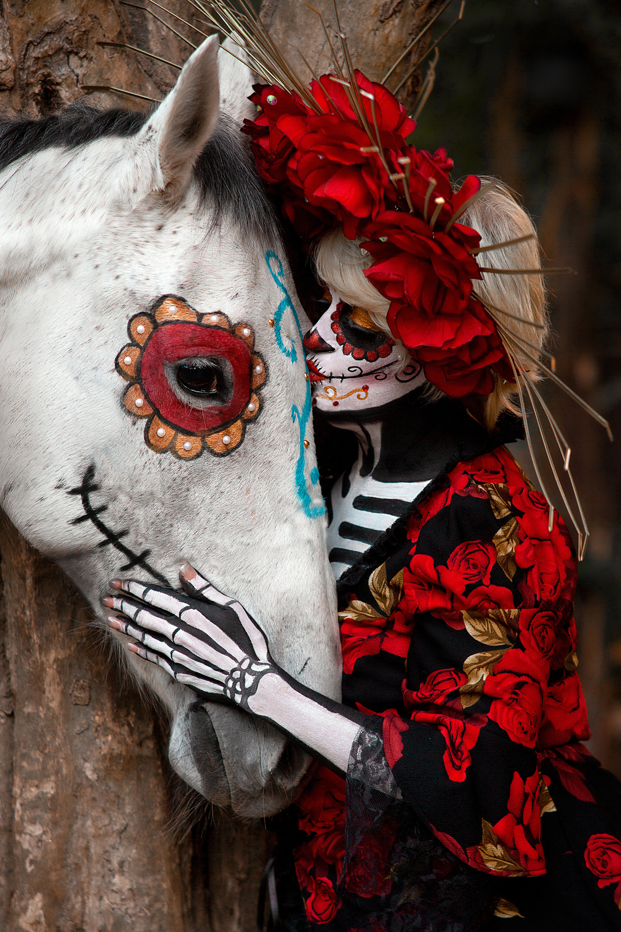 Horse and woman