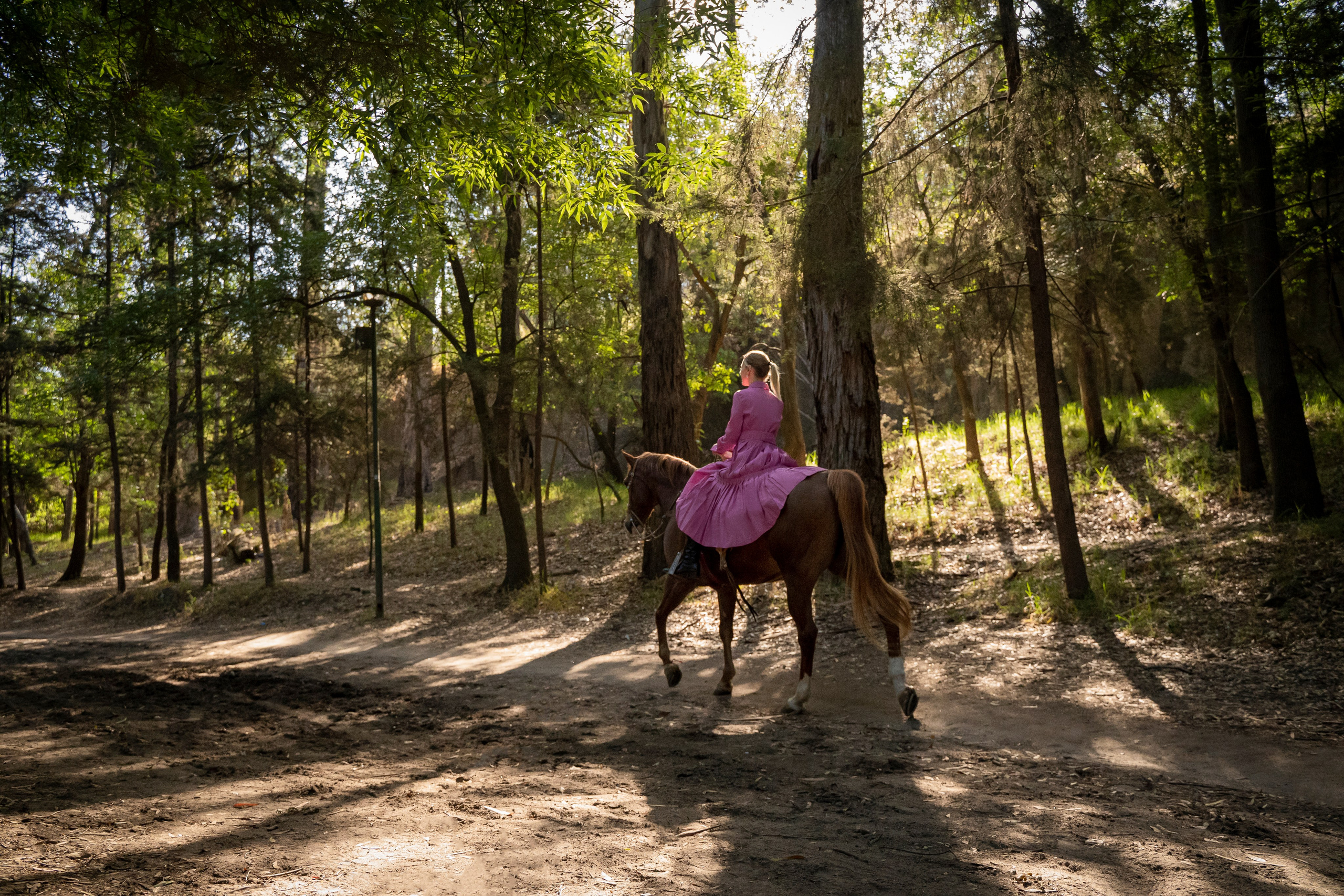 Proposal photographer in Mexico City capturing surprise engagements in Chapultepec Castle, Polanco and scenic romantic locations. Ekaterina Frolova photography