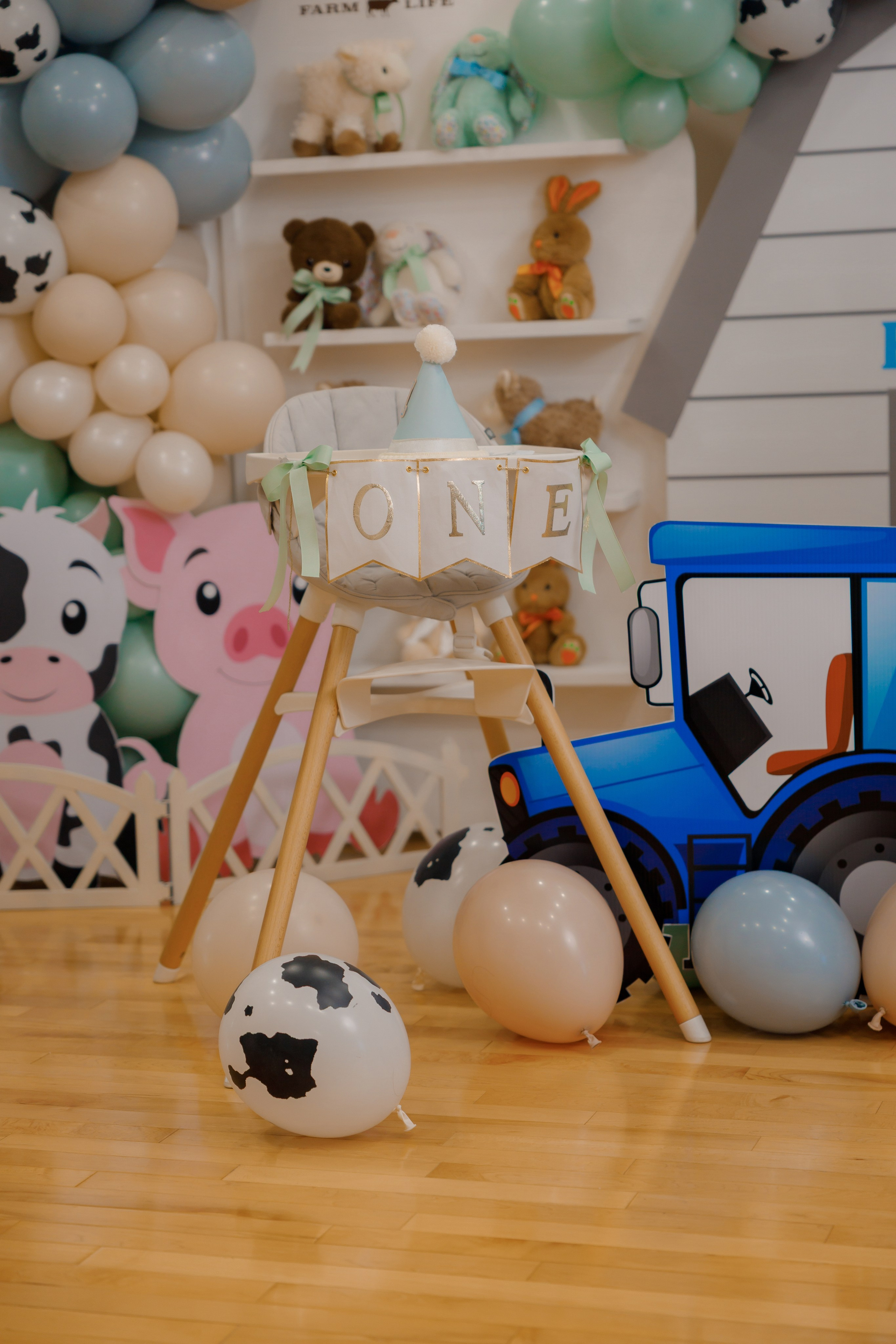 Fateh’s 1st birthday. Photographer Elvira Hryshchenko