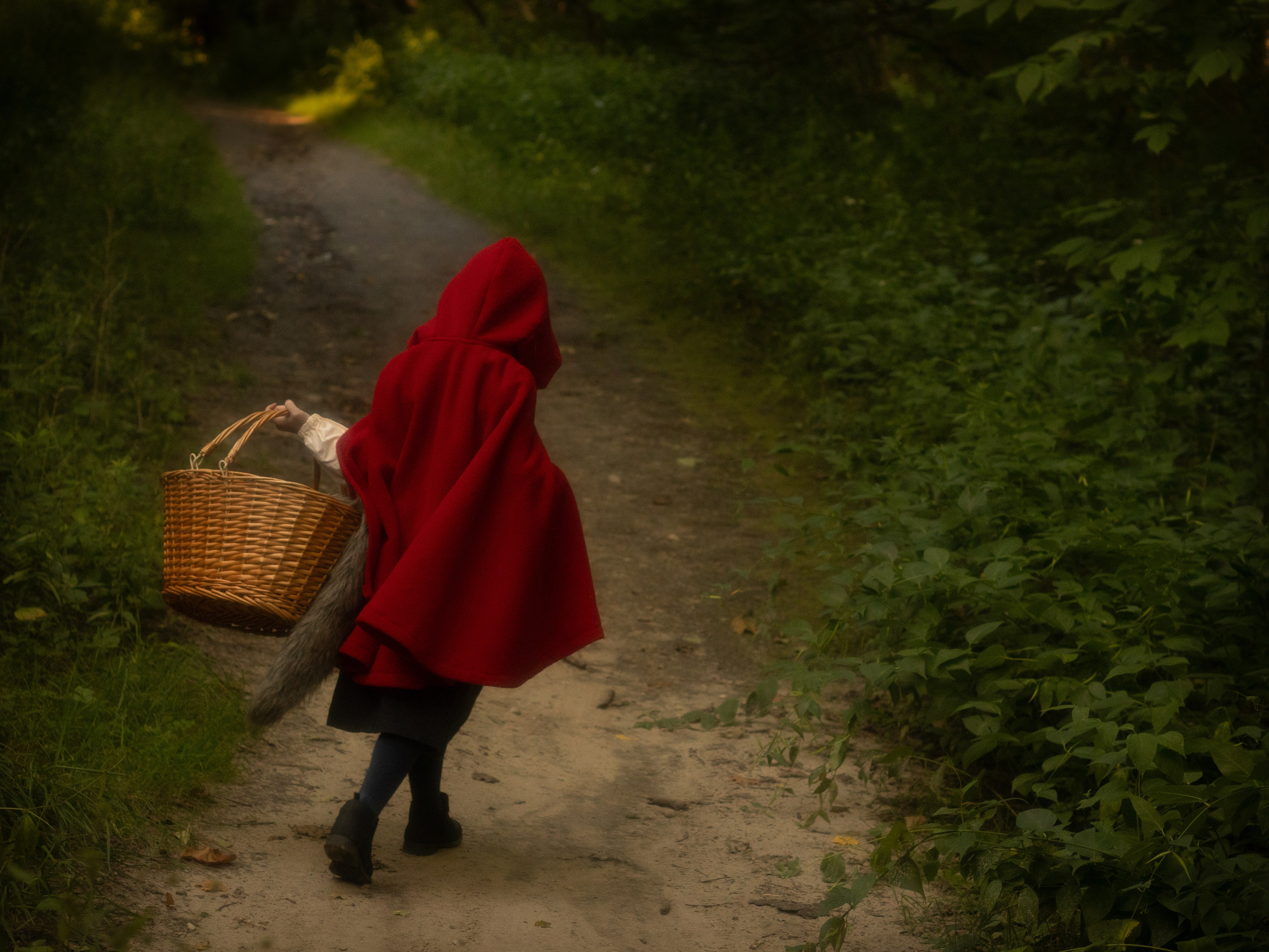 New Little Red Riding Hood. Toronto Portrait Photographer Lena Lac
