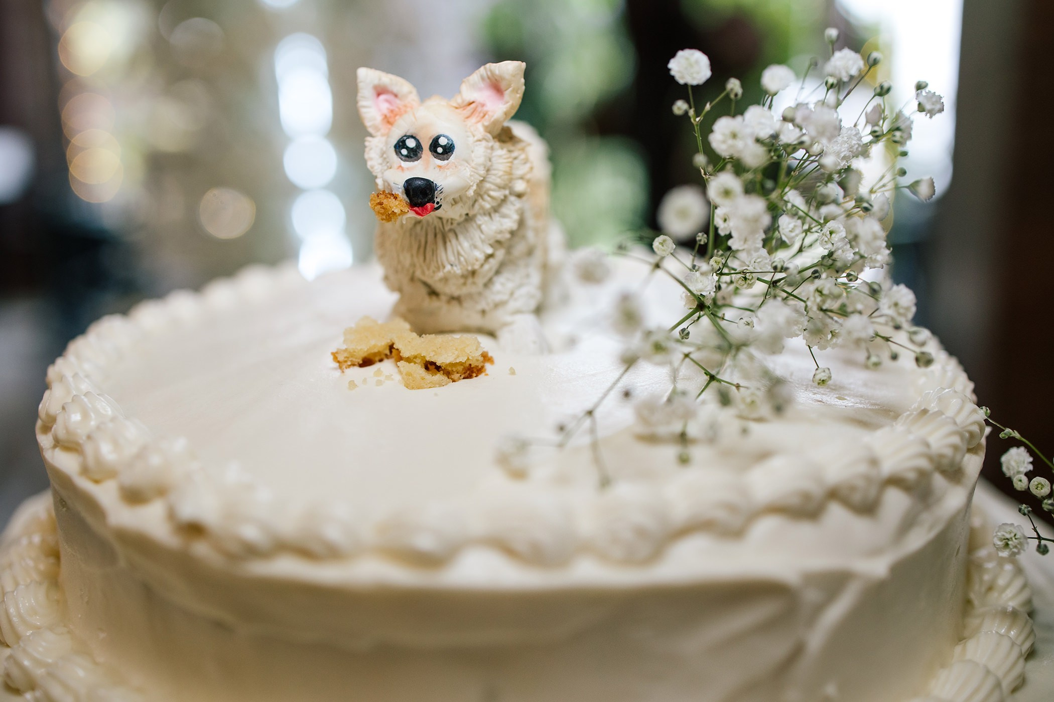 Fiesta/ Coctel. Wedding Photographer Ruth Preciado