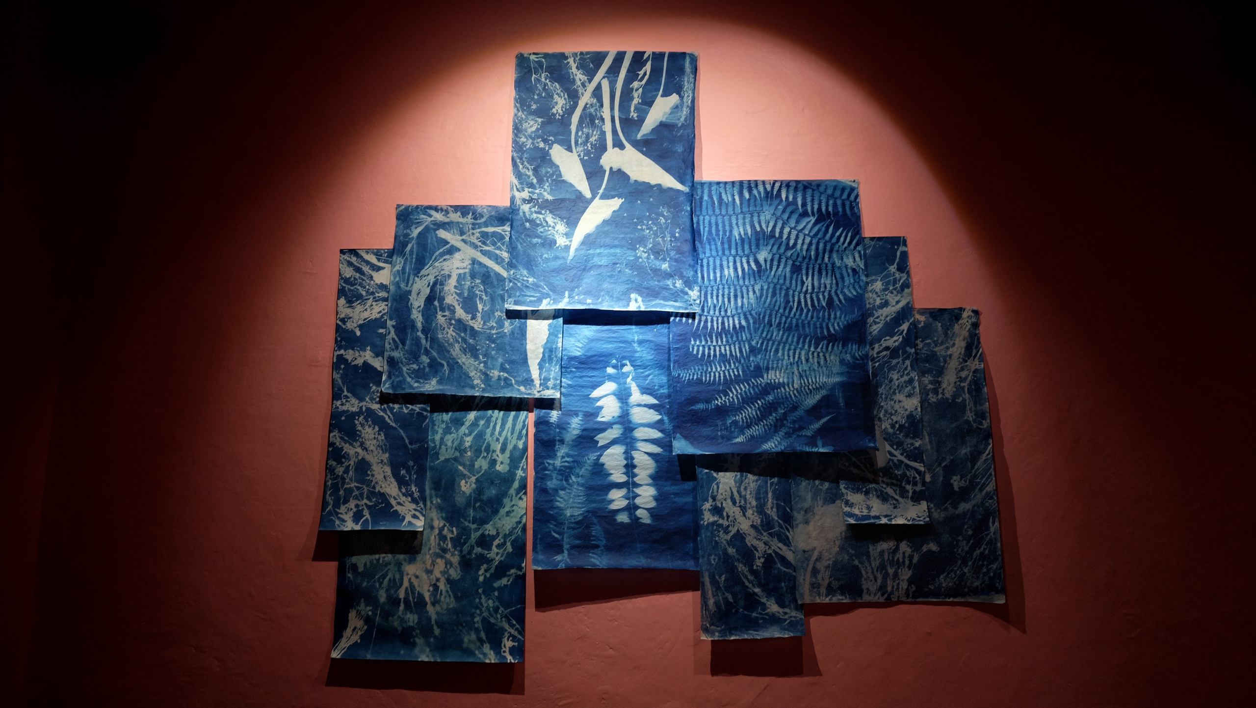2021 — The Art of Healing. Curator, editor, researcher, and educator in Latin American photography Maíra C. Gamarra
