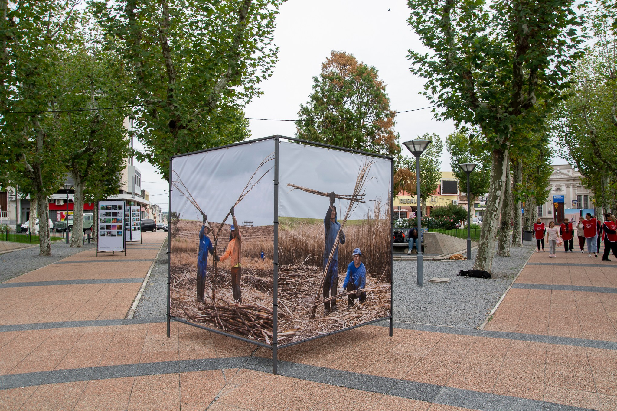 2023 — The Territory from Within. Curator Maíra C. Gamarra