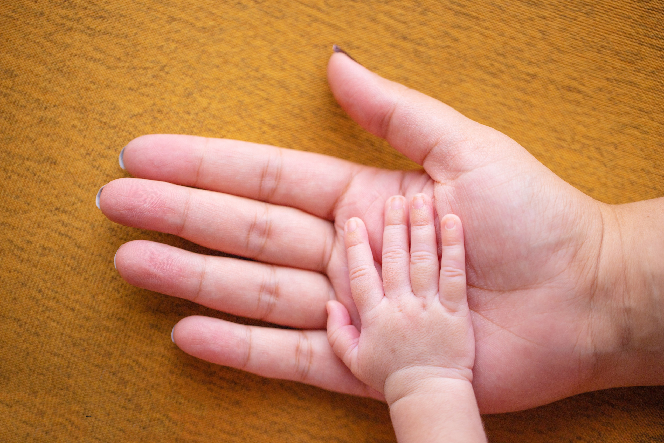 Newborns. Lifestyle and Family Photographer Faryal Saeed