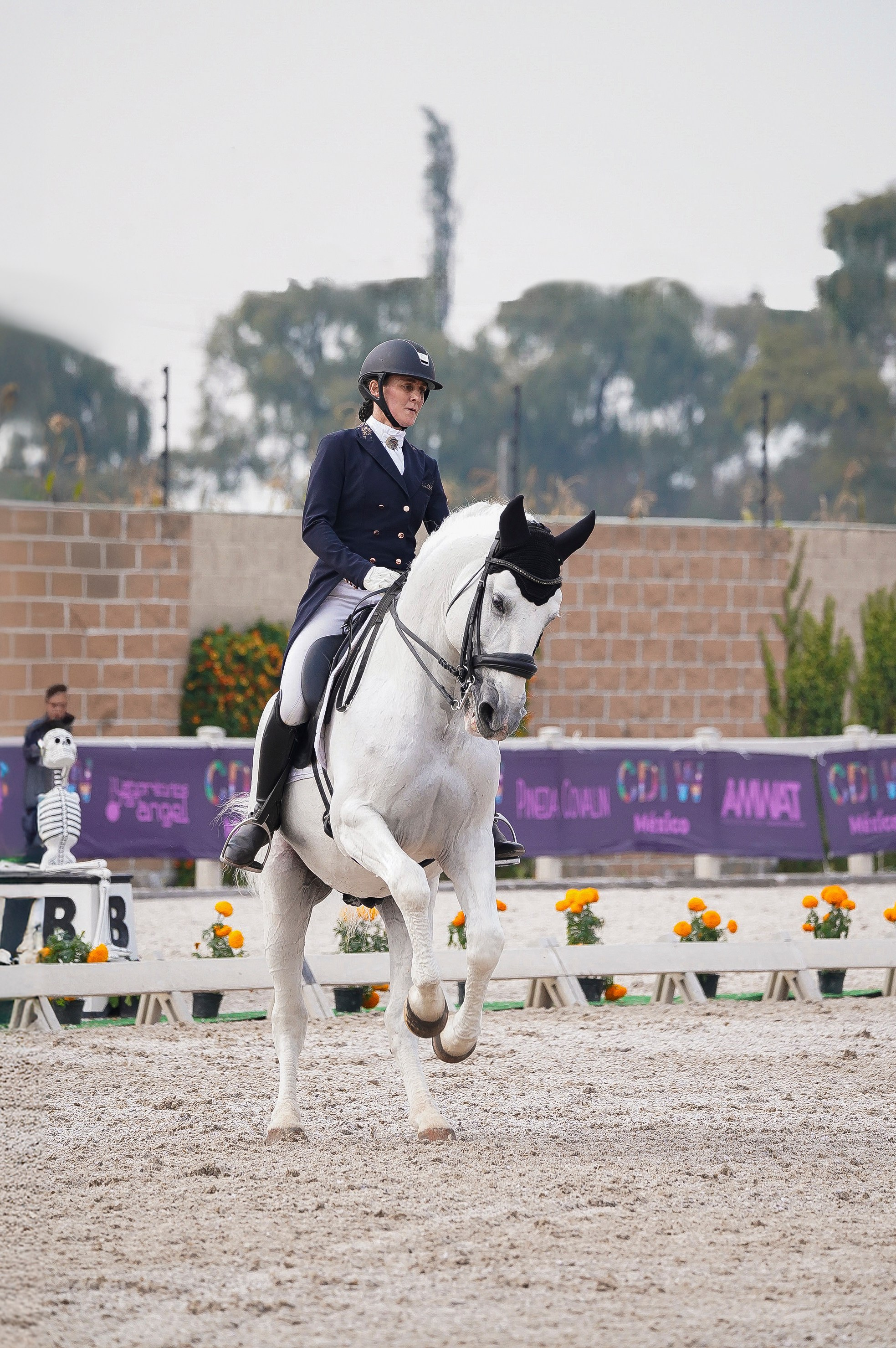 Vacation photoshoot in Mexico City. Capture your trip with a professional photographer. Horse riding dressage doma clasica show jumping Tour. Ekaterina Frolova photography