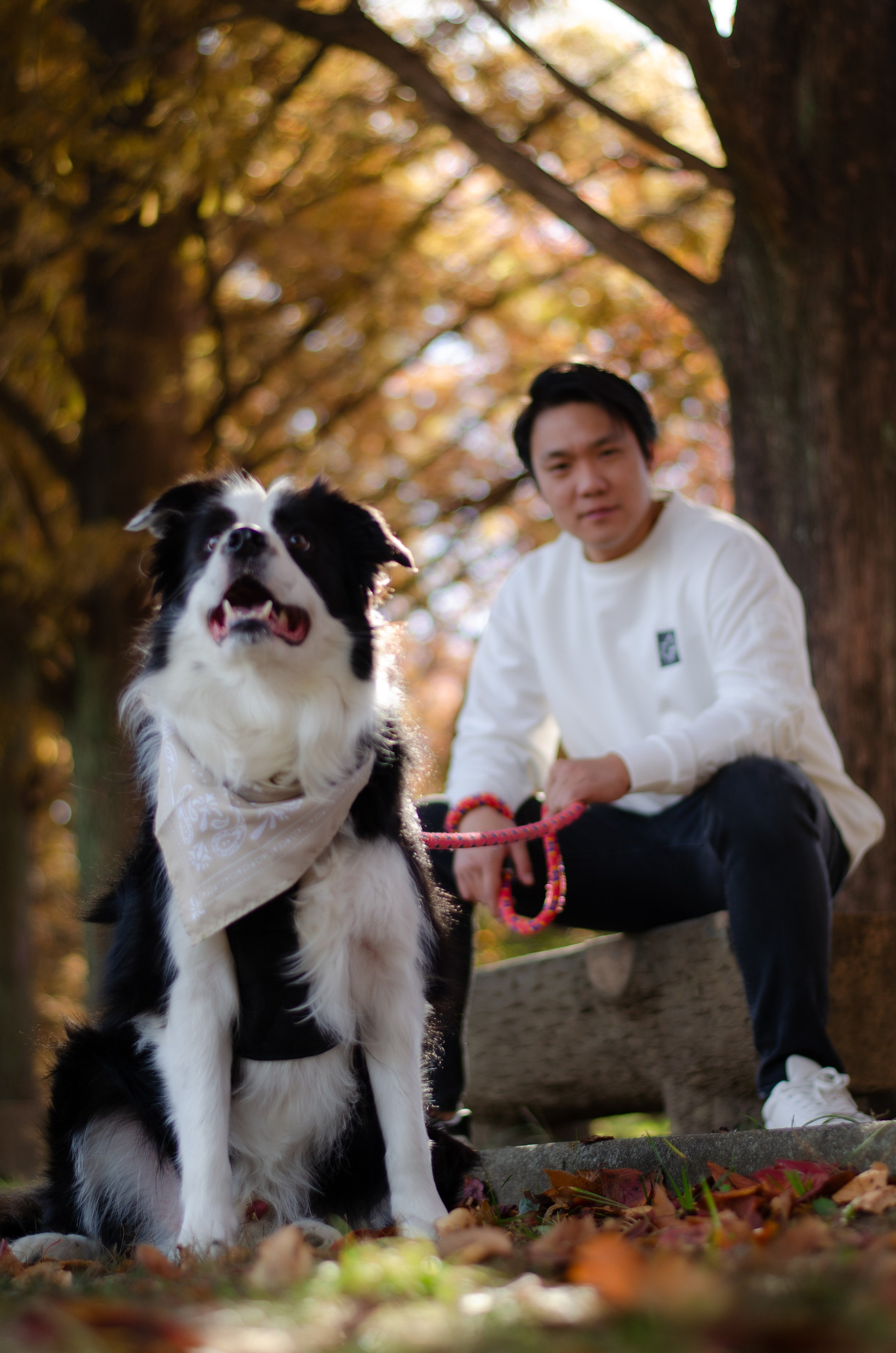 Autmn Season Family. LunarVox Lens: a lente que transforma luz em voz e emoção. Retratos e ensaios no Japão por Leyka Tanaka
