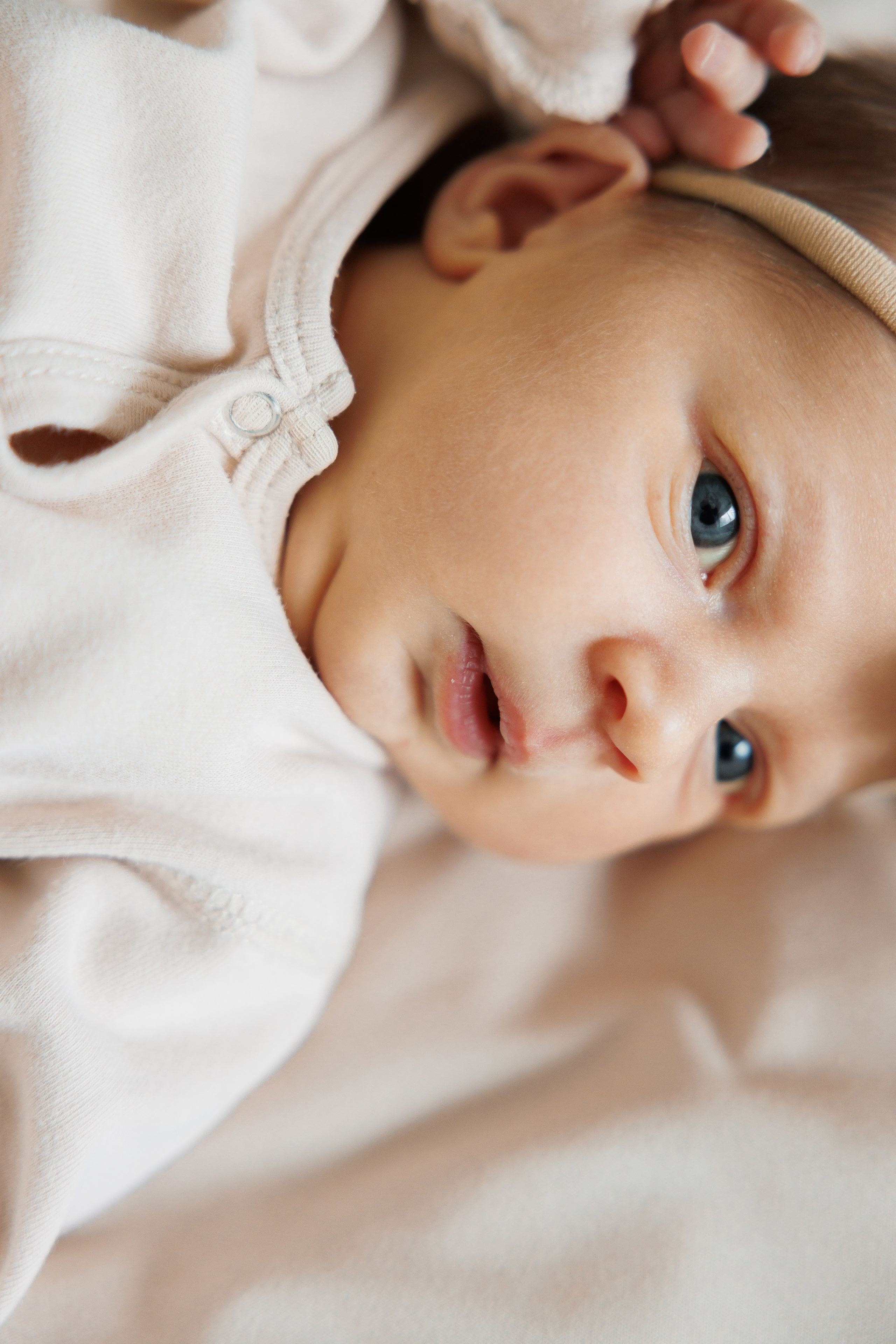 New born. Photographer Elvira Hryshchenko