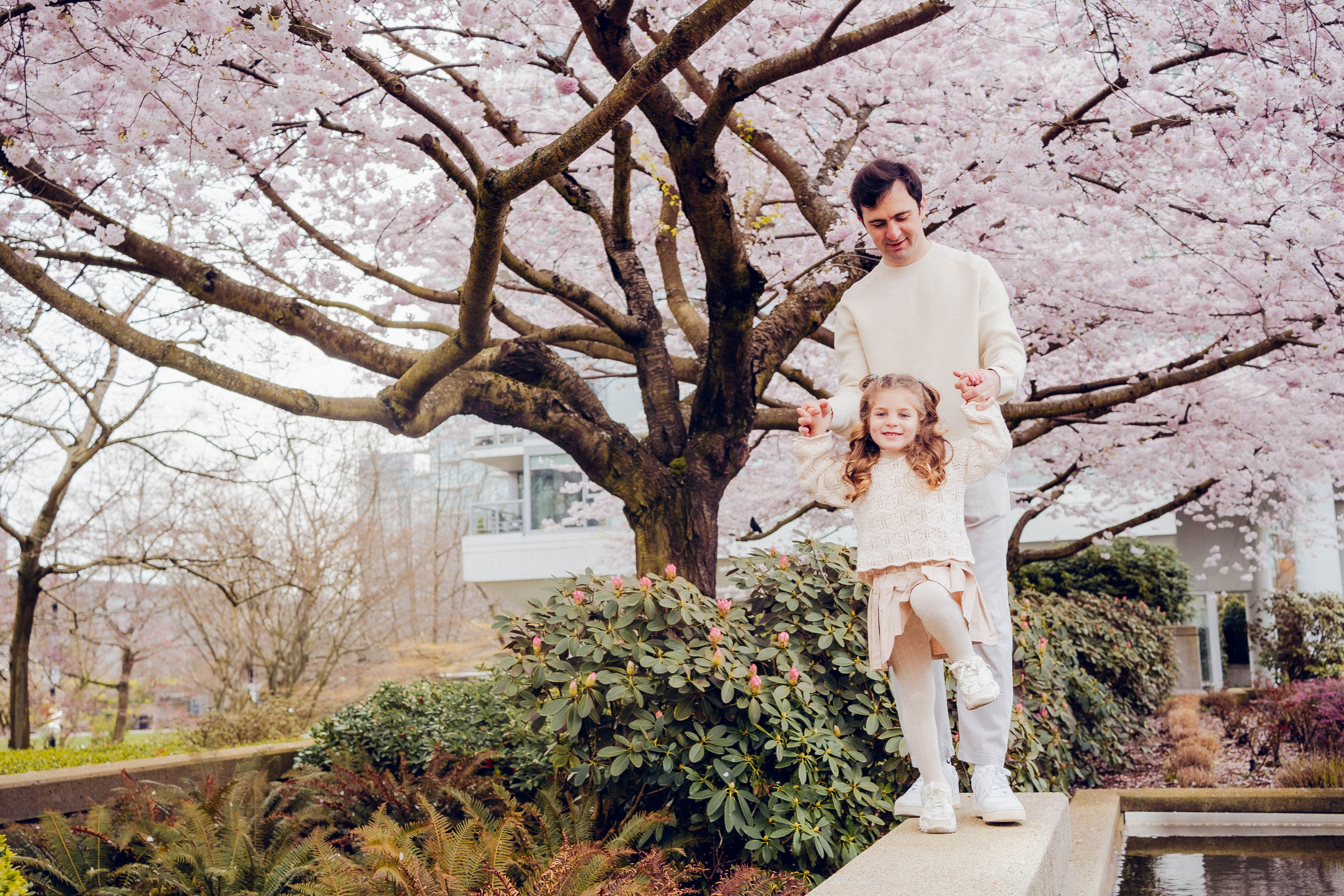 Cherry blossom. Photographer Lana