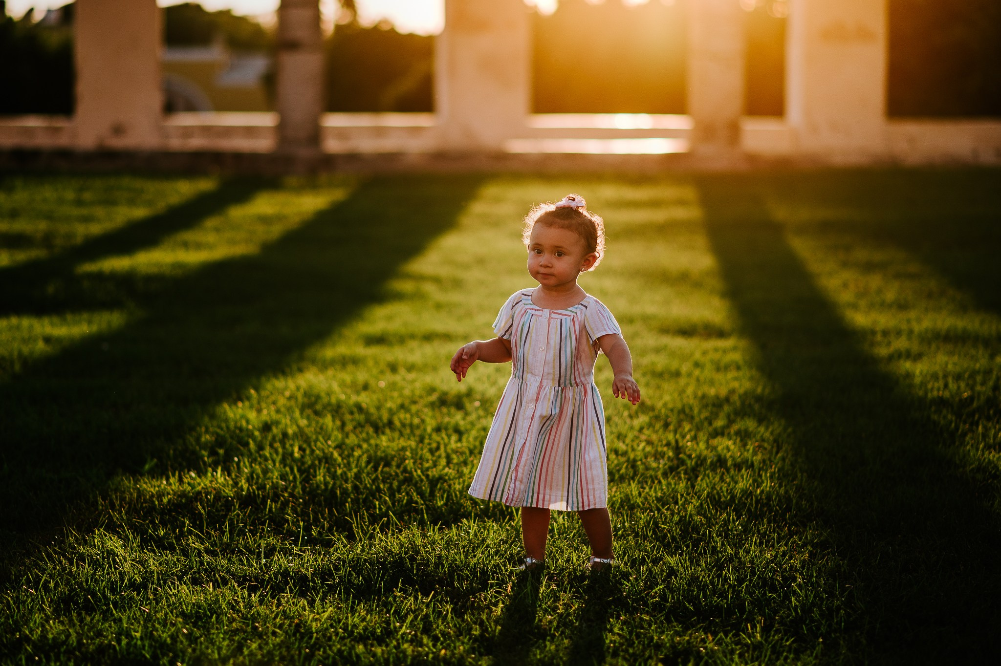 Familias. Fotógrafo de bodas, quince años, familias y fotografía infantil en Mérida Yucatán Alberto Rodriguez
