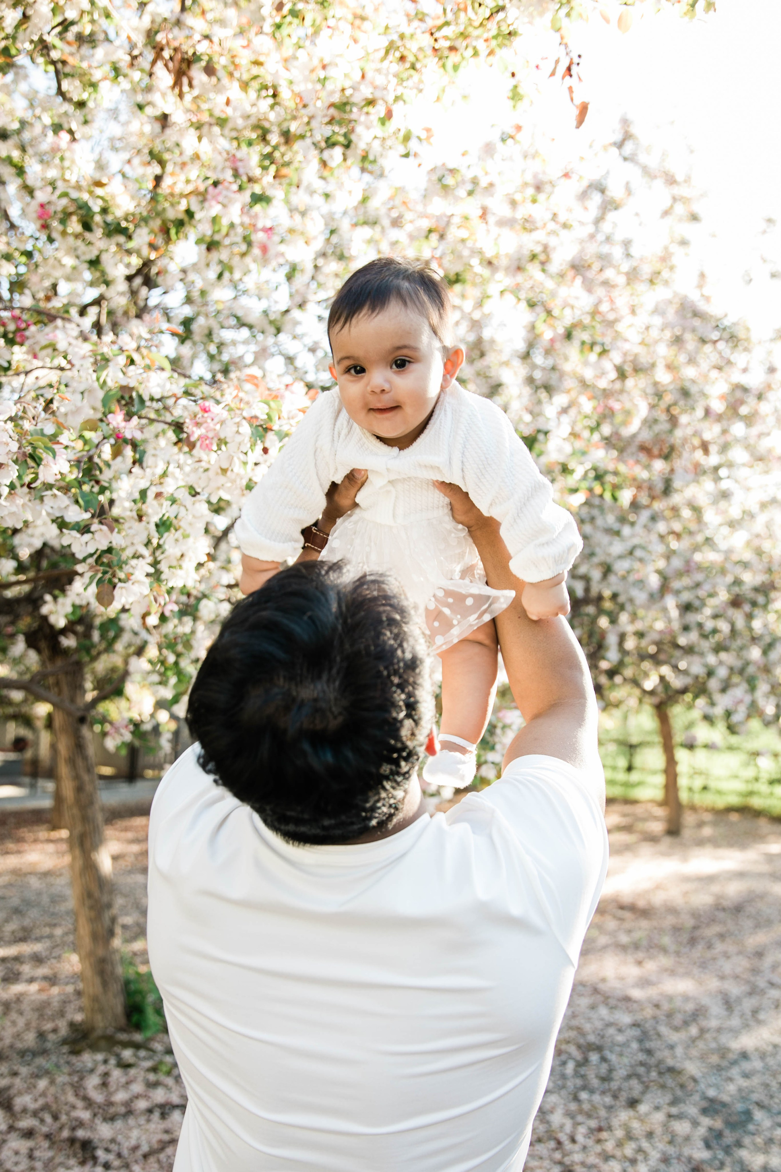 Cherry Blossom — Nabeel Family. Ching Li Photography