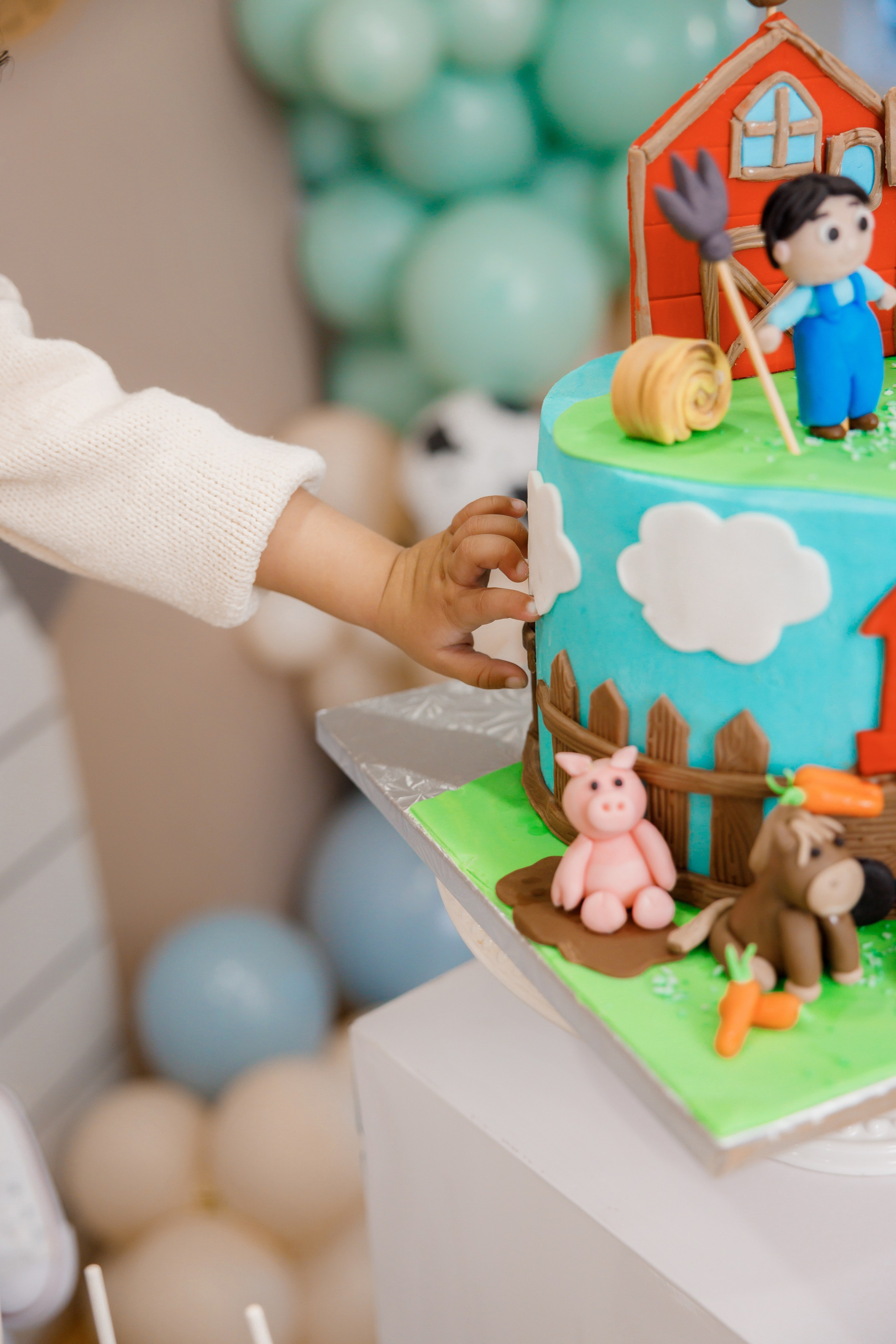 Fateh’s 1st birthday. Photographer Elvira Hryshchenko