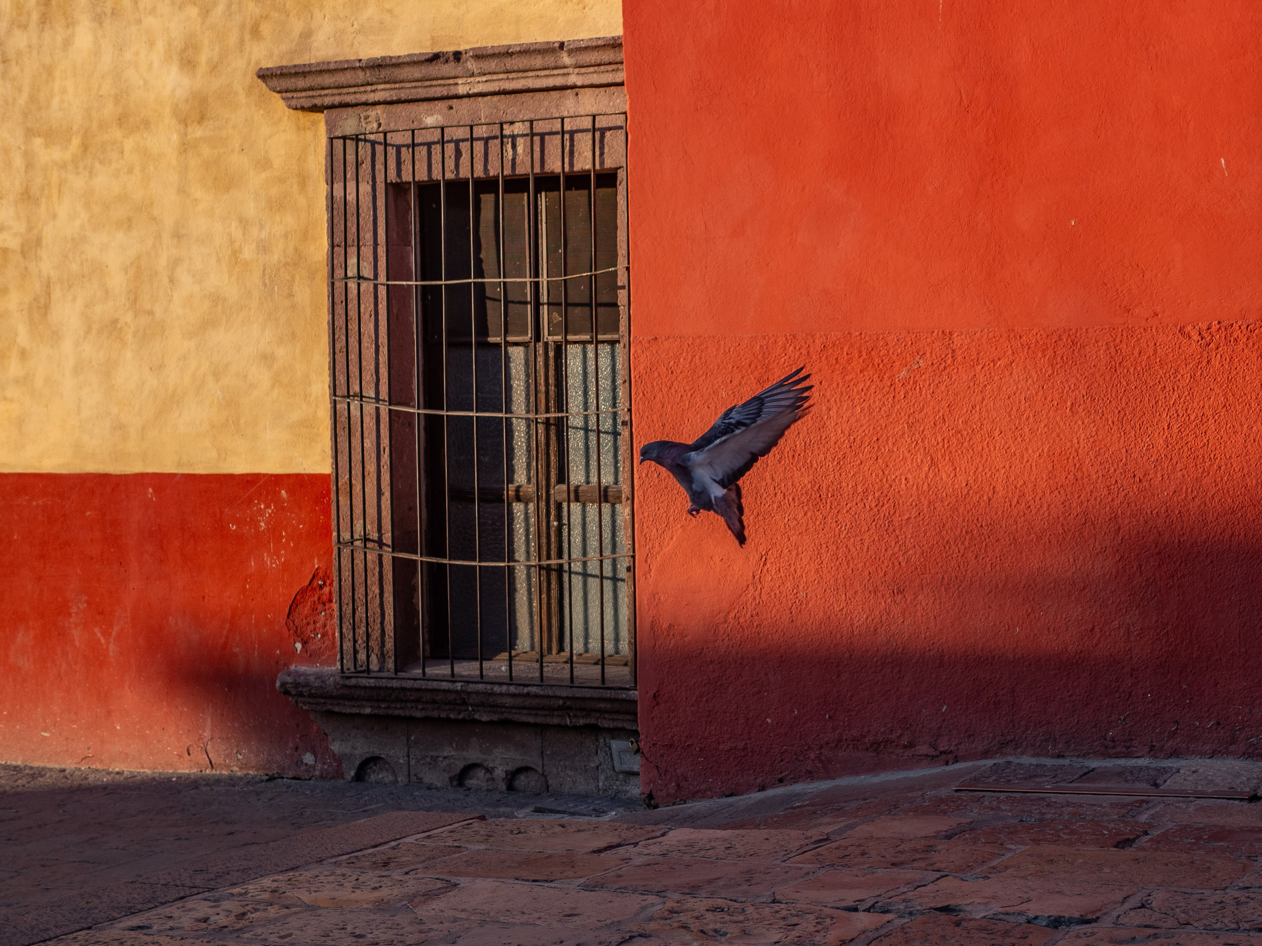 San Miguel de Allende, México. Federico Borobio, fotografía callejera y documental.