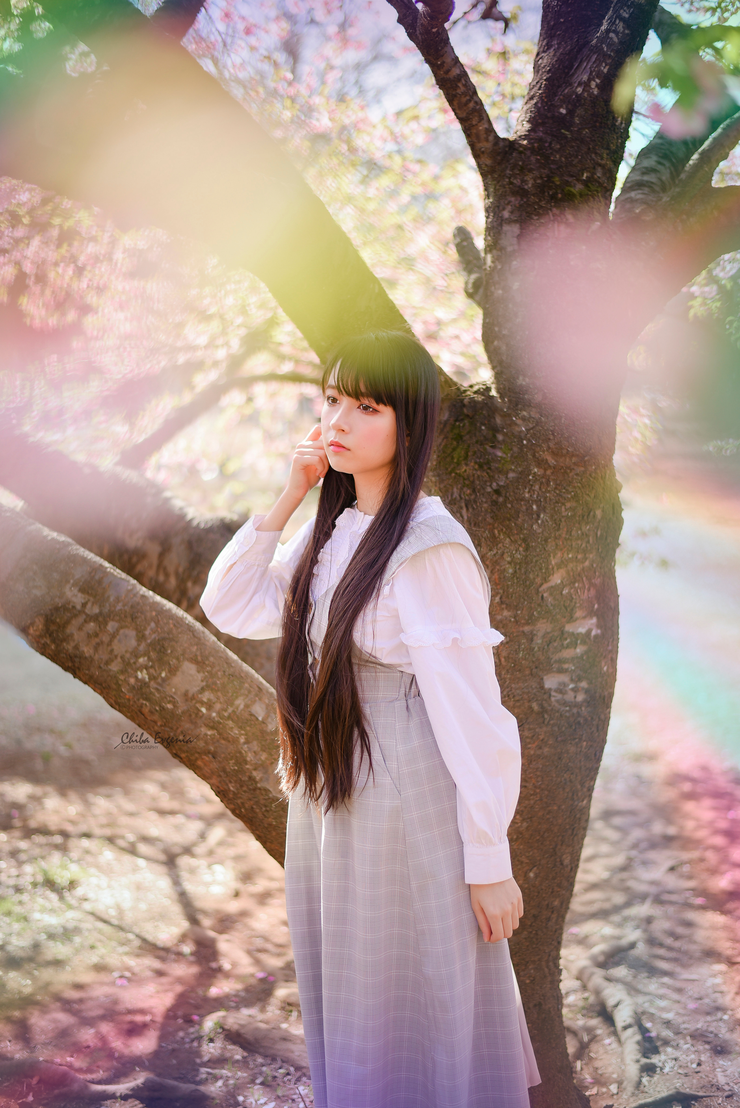 Photo session for Farangiz`s Family. Photographer in Tokyo, Japan