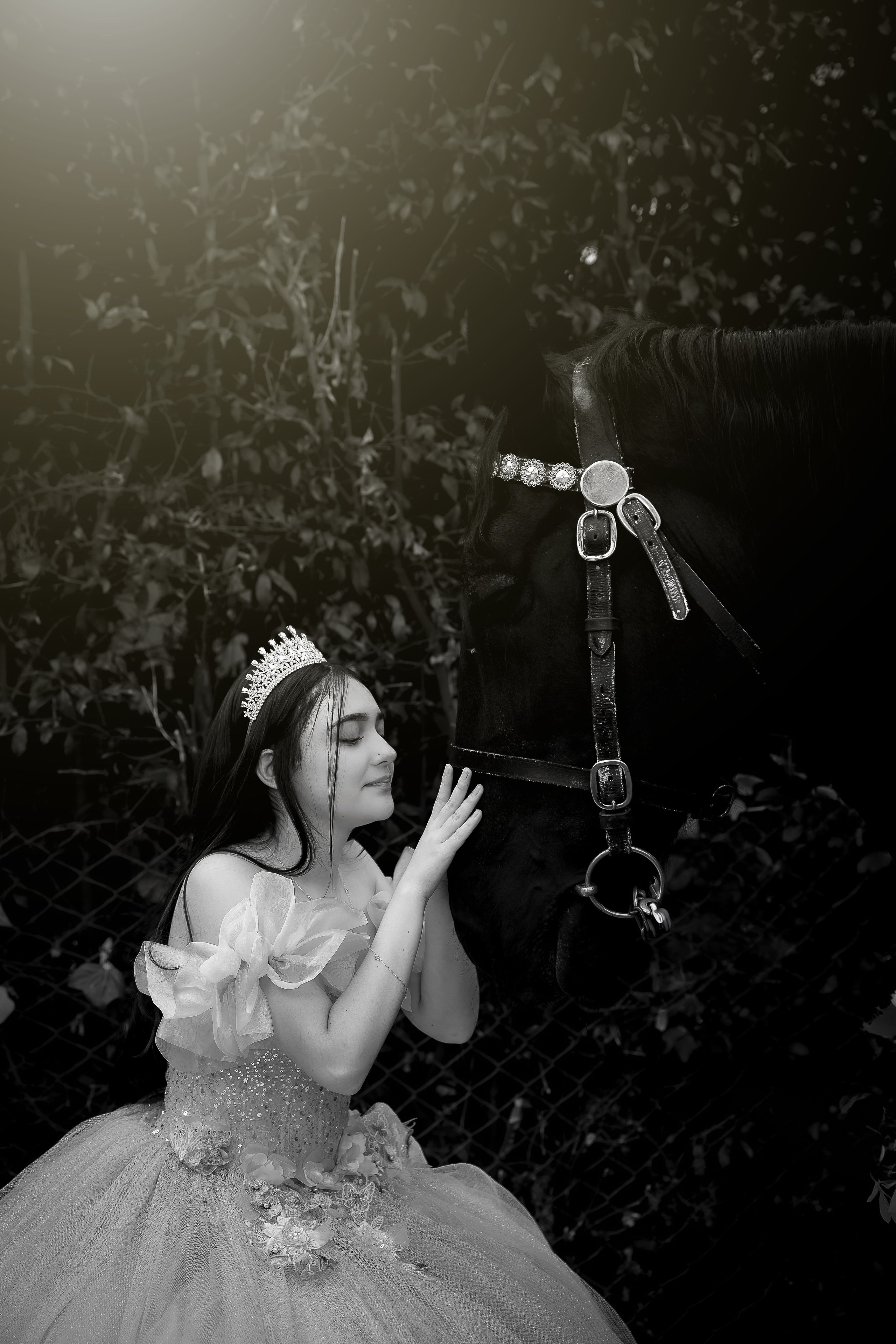 Sesión de Quinceañera Laura en Bogotá | Fotos de 15 Años