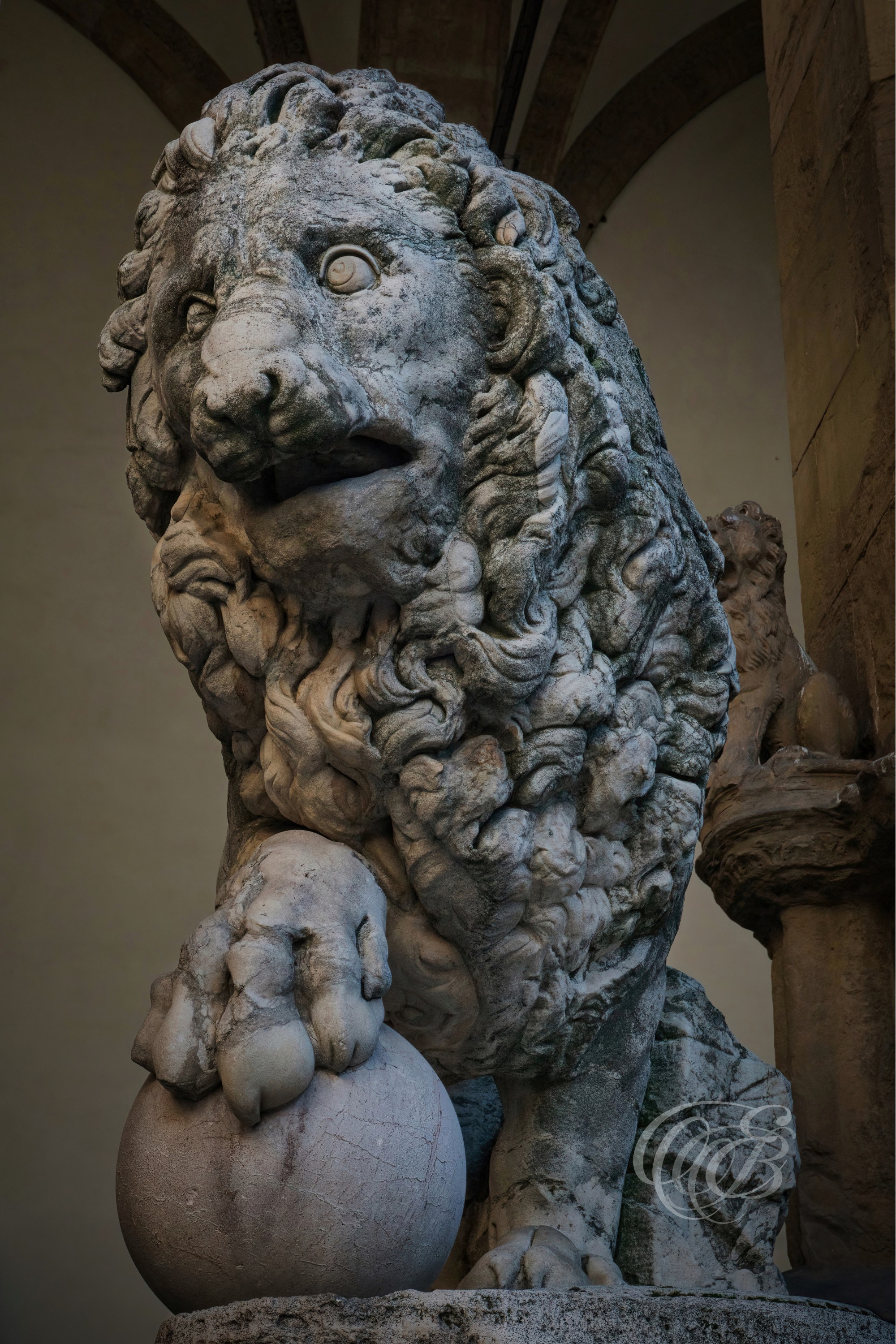 ITALY PHOTOGRAPHY — The Medici Lions — Marble lion sculptures at the Loggia dei Lanzi in Piazza della Signoria, symbols of Florence's artistic and historical heritage, Florence, Italy — Eduardo Bartoli Photography.