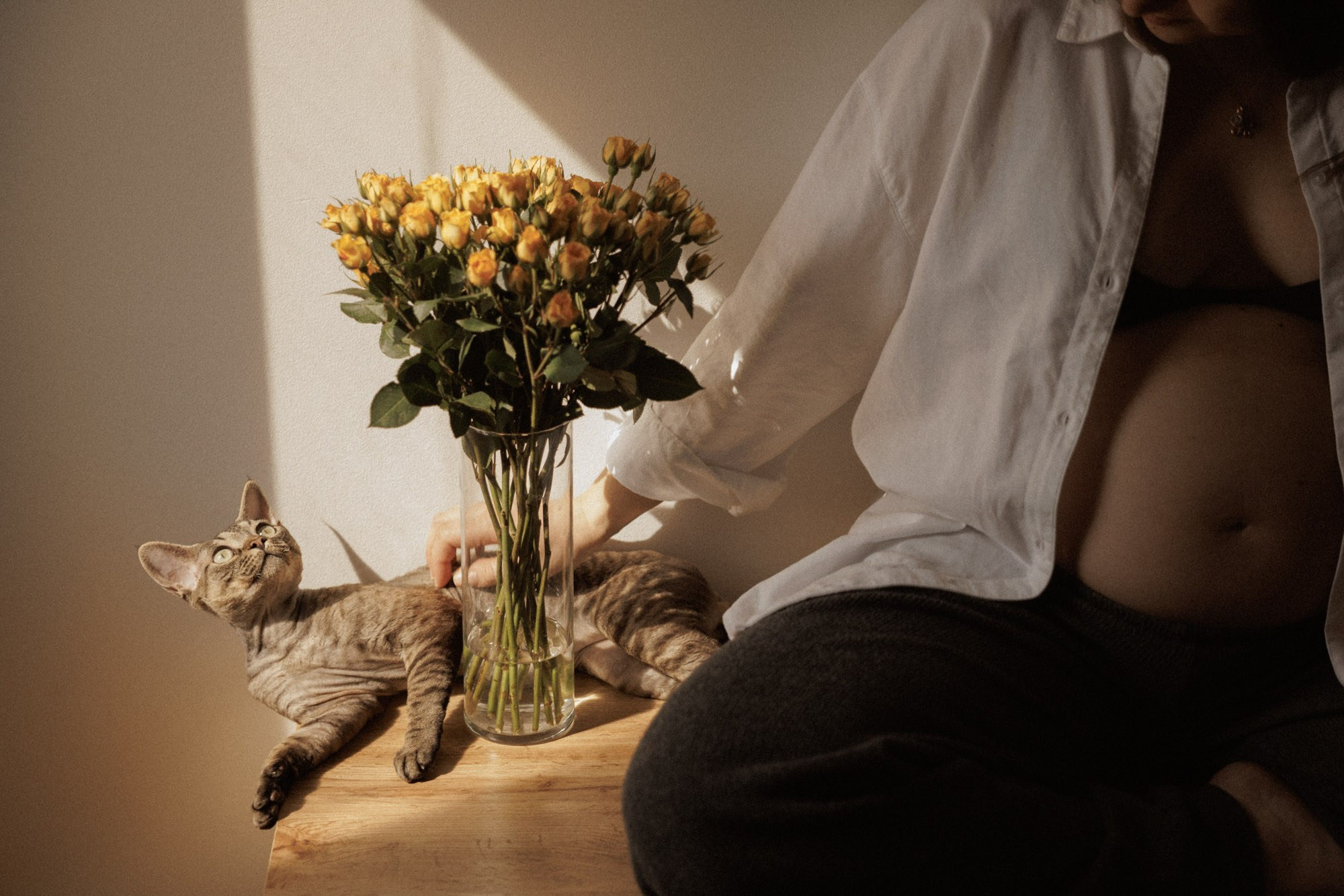 Expectant mother sitting beside her cat and flowers in warm window light
