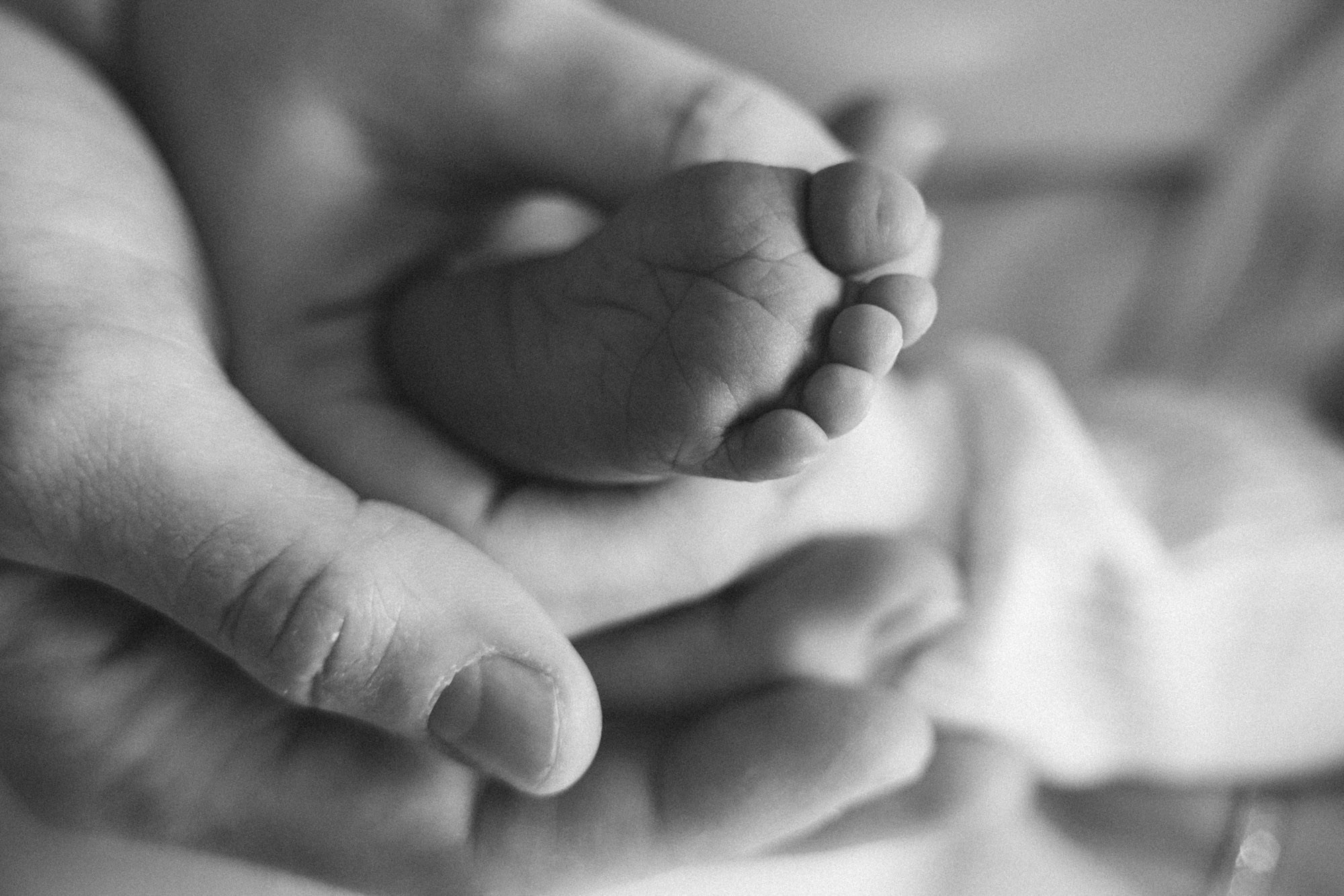 Petits pieds d’un nouveau-né reposant dans les mains d’un parent