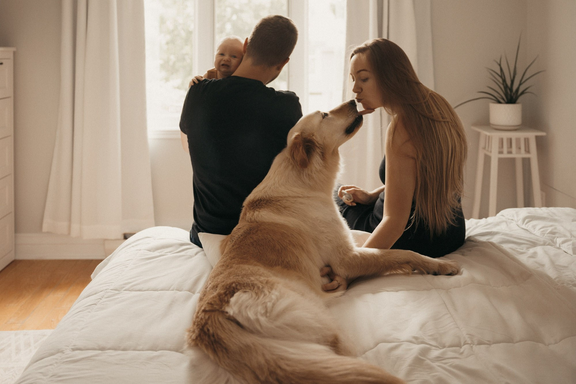 Parents avec leur bébé et leur chien sur le lit lors d’une séance photo à domicile