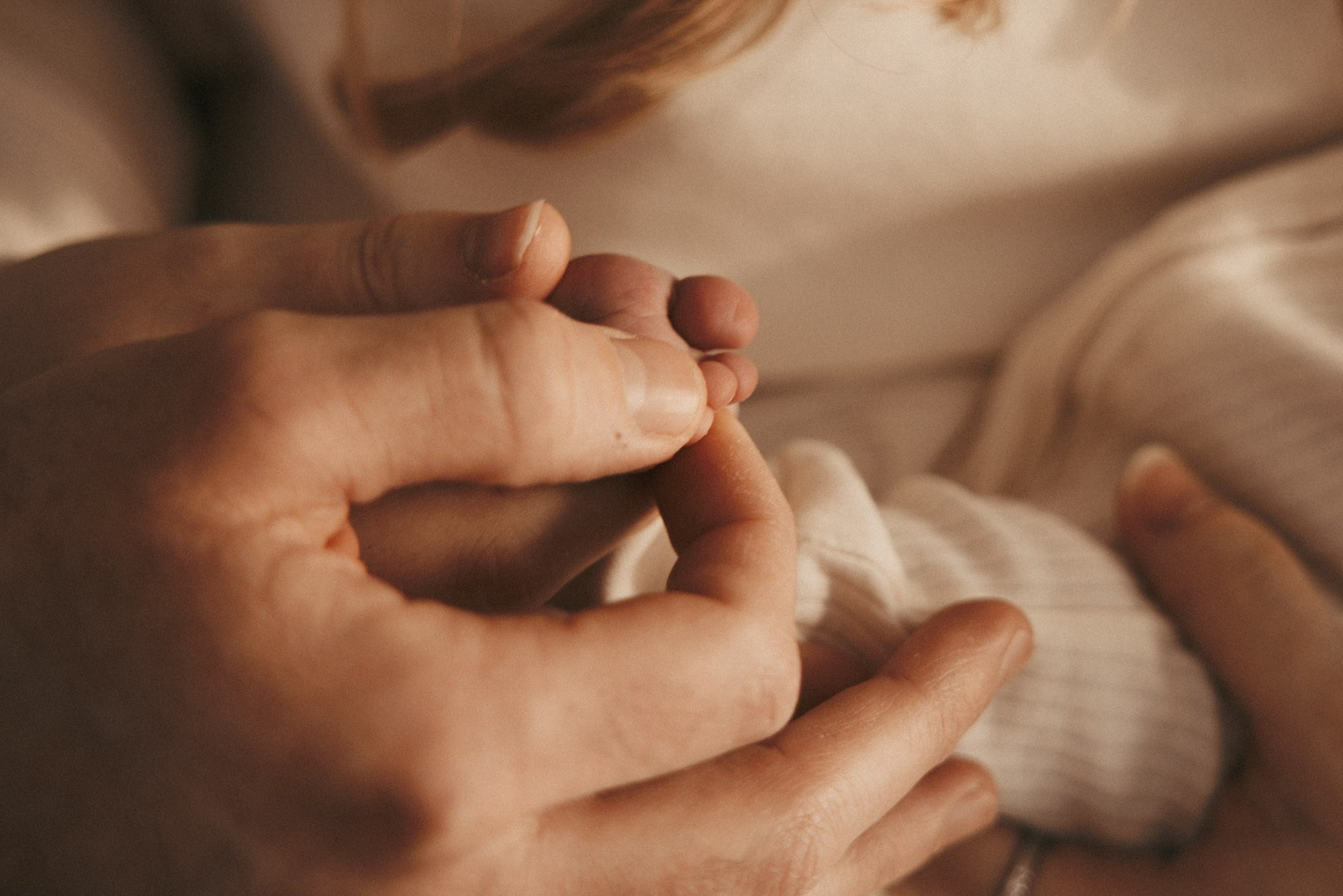 Main d’un nouveau-né tenant le doigt d’un parent