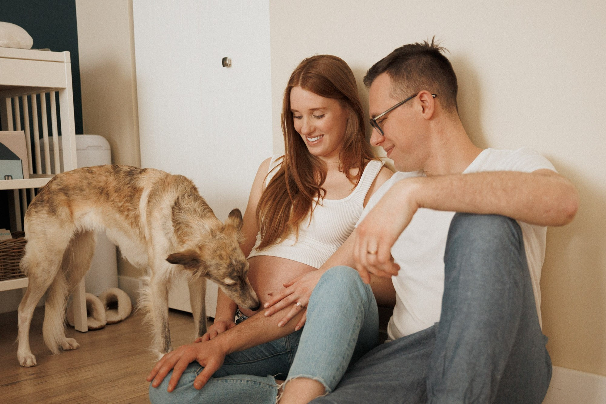 Family dog nuzzling an expectant mother’s belly while the couple sits at home