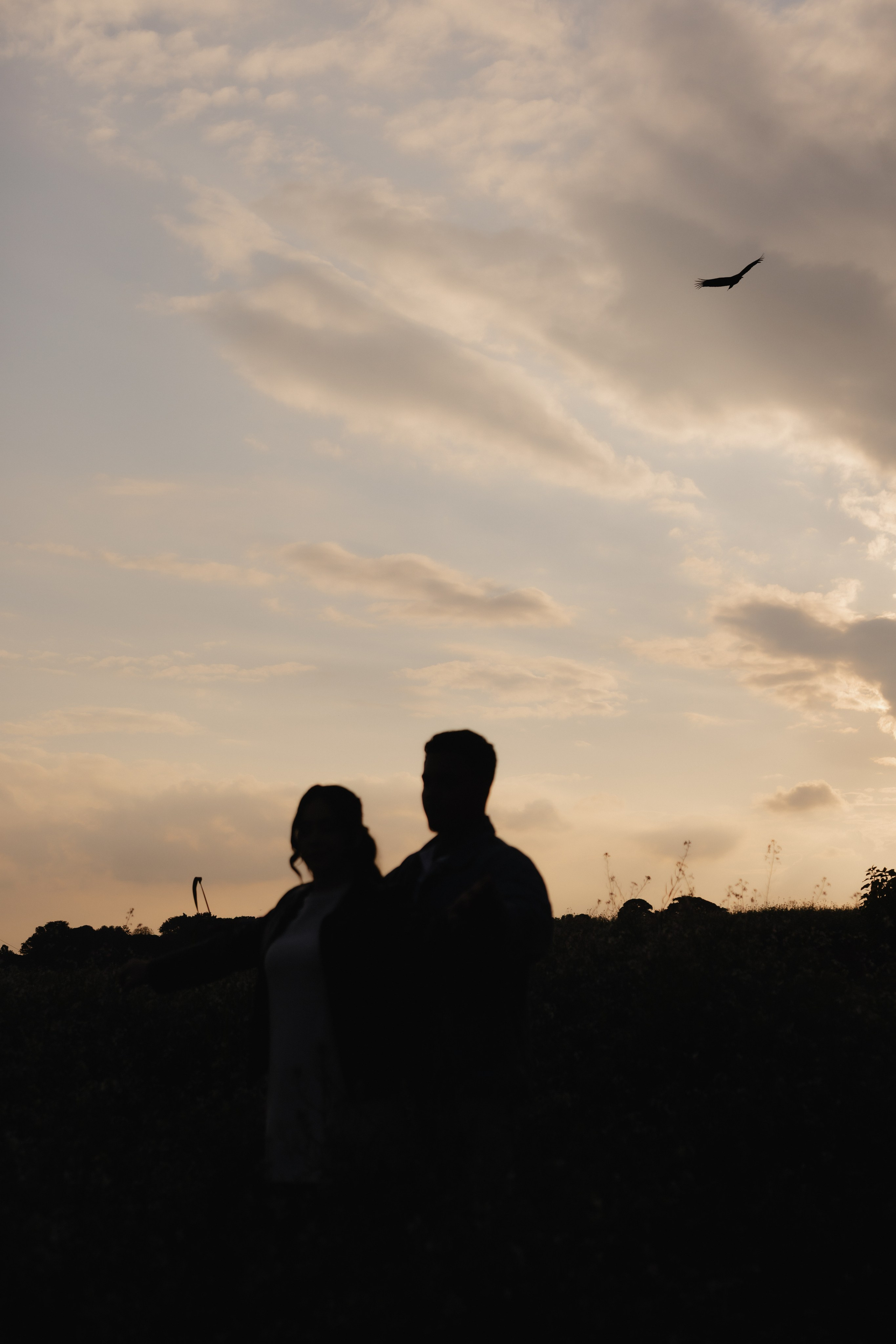 Bia e João. Alexandre Borges Wedding
