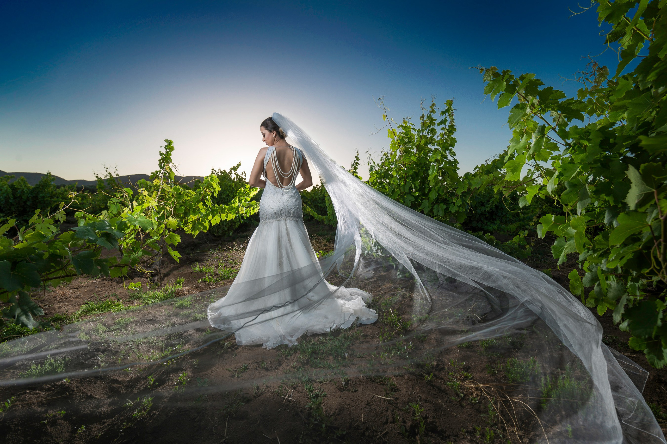 Bodas. Fotógrafo Profesional en Chihuahua, México — Alex Mendoza