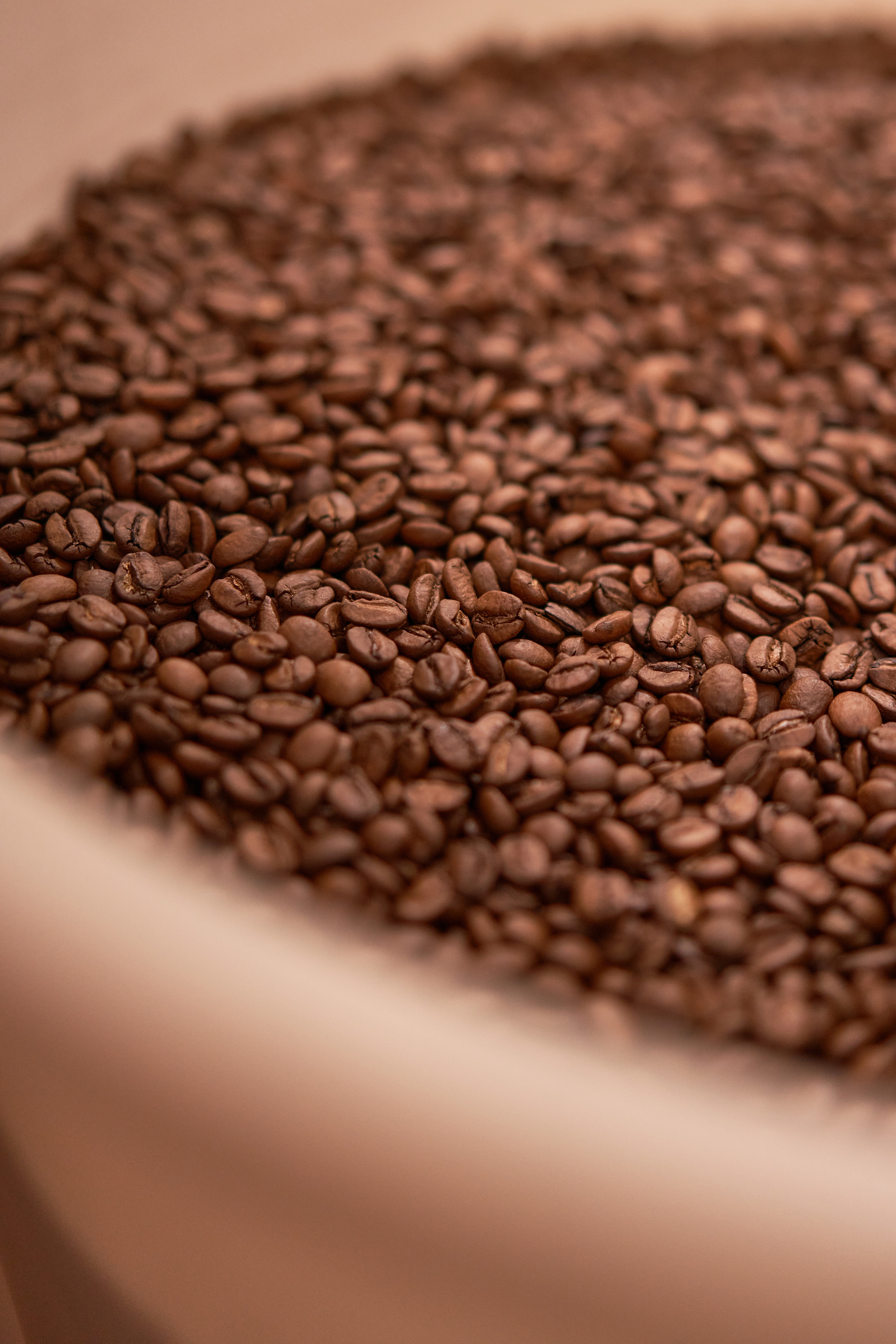 Съемка для Coffee element. Cold Lake photographer Ekaterina Konovalenko