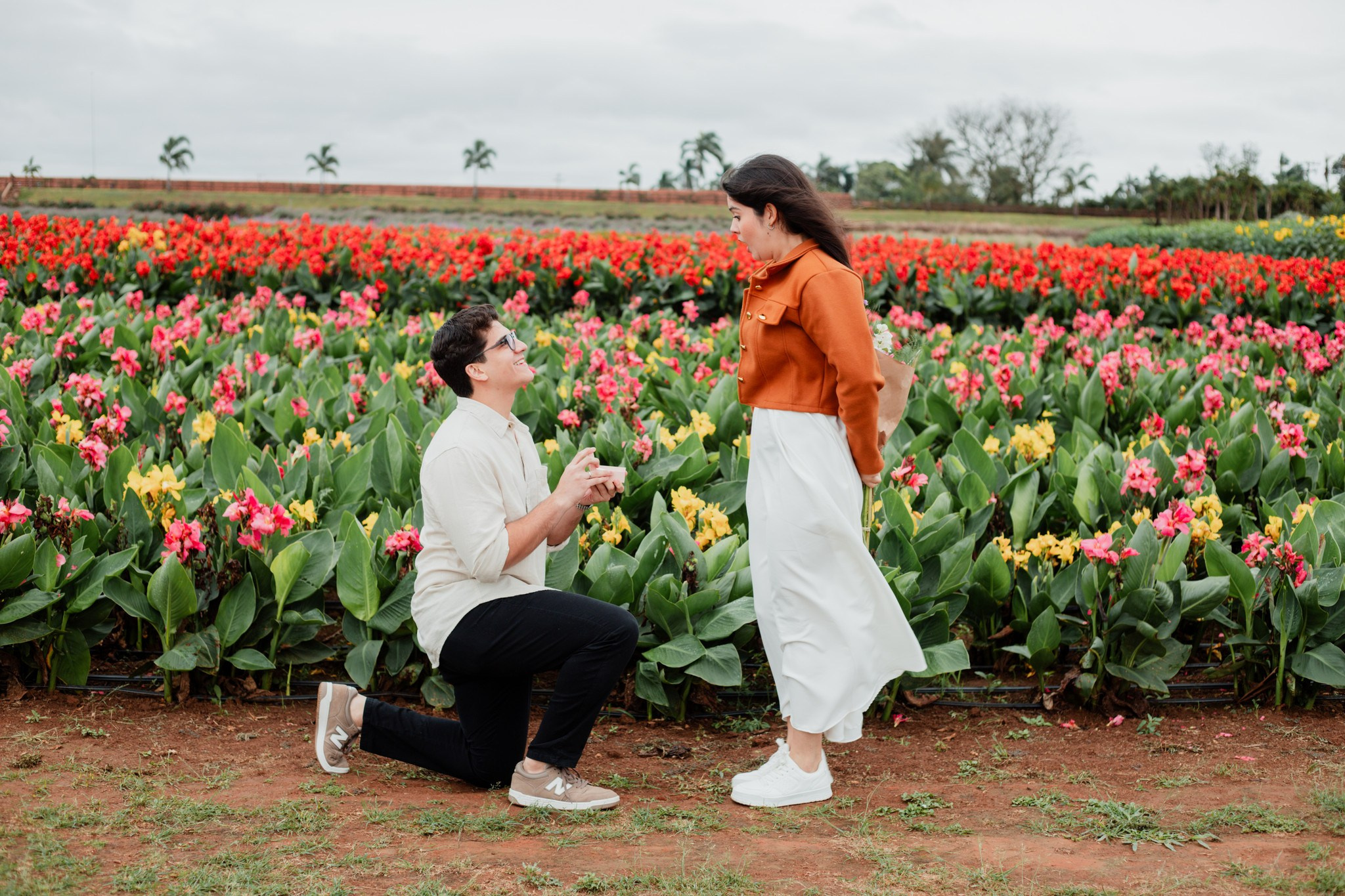 Pedido de casamento / Macena Flores. Joyce Maria Fotografia | Fotógrafa em Holambra