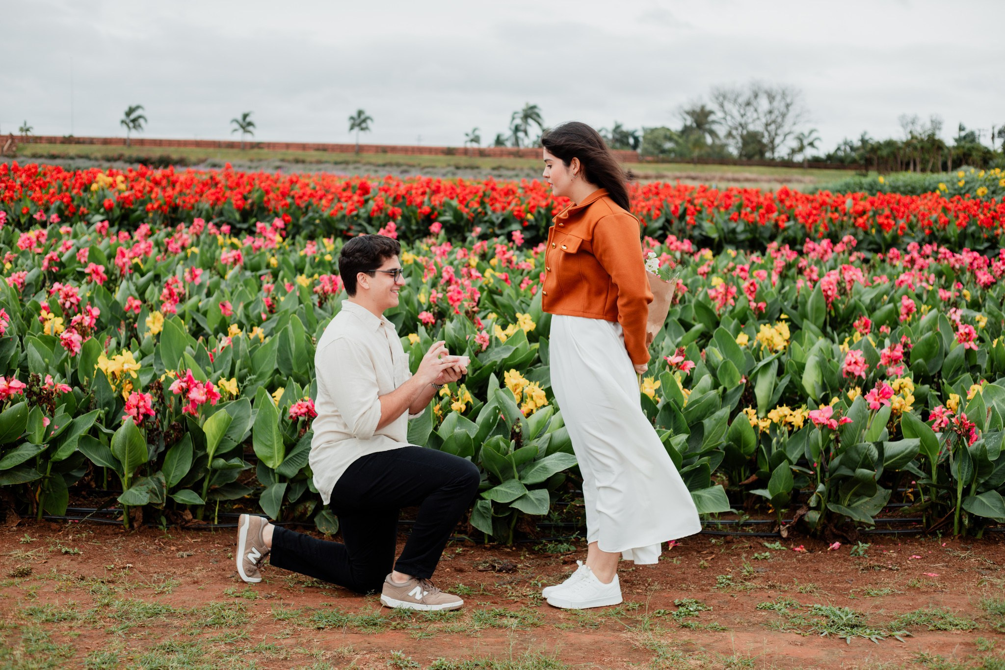 Pedido de casamento / Macena Flores. Joyce Maria Fotografia | Fotógrafa em Holambra