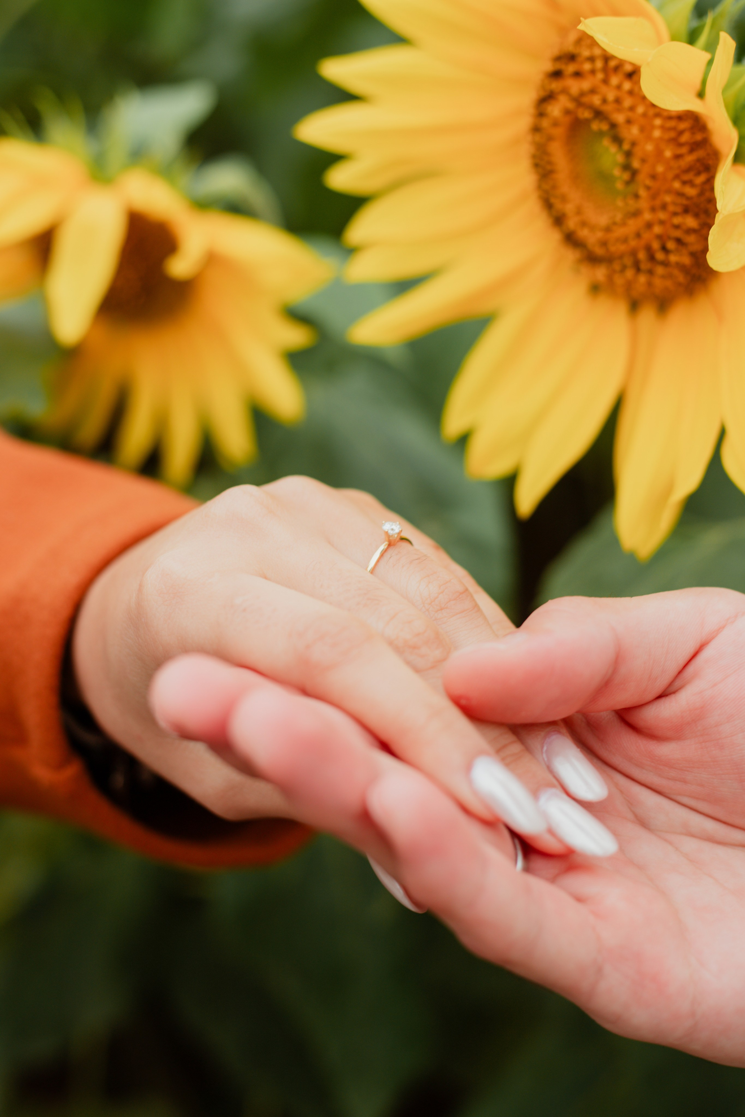 Pedido de casamento / Macena Flores. Joyce Maria Fotografia | Fotógrafa em Holambra