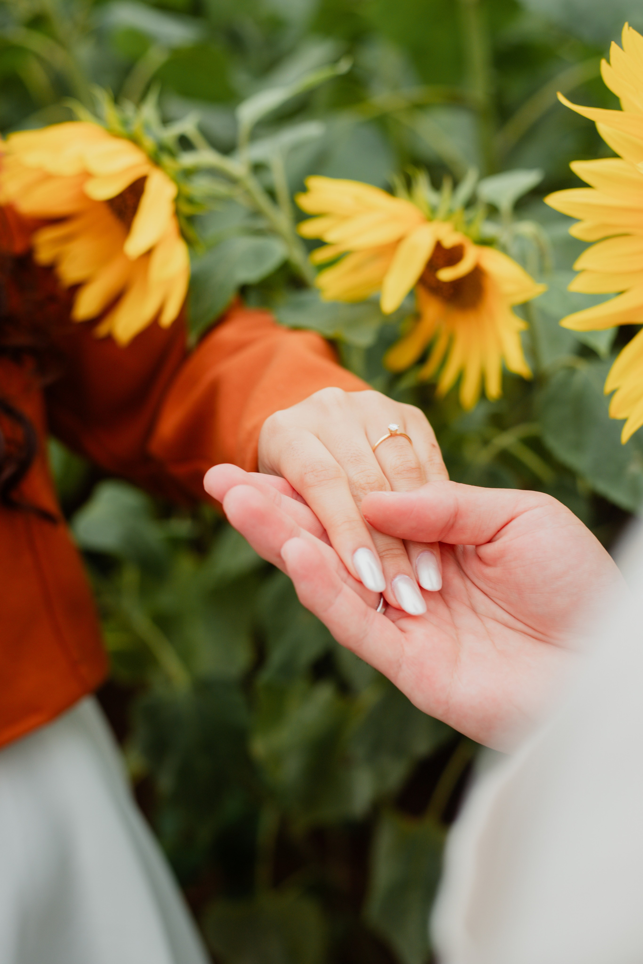 Pedido de casamento / Macena Flores. Joyce Maria Fotografia | Fotógrafa em Holambra