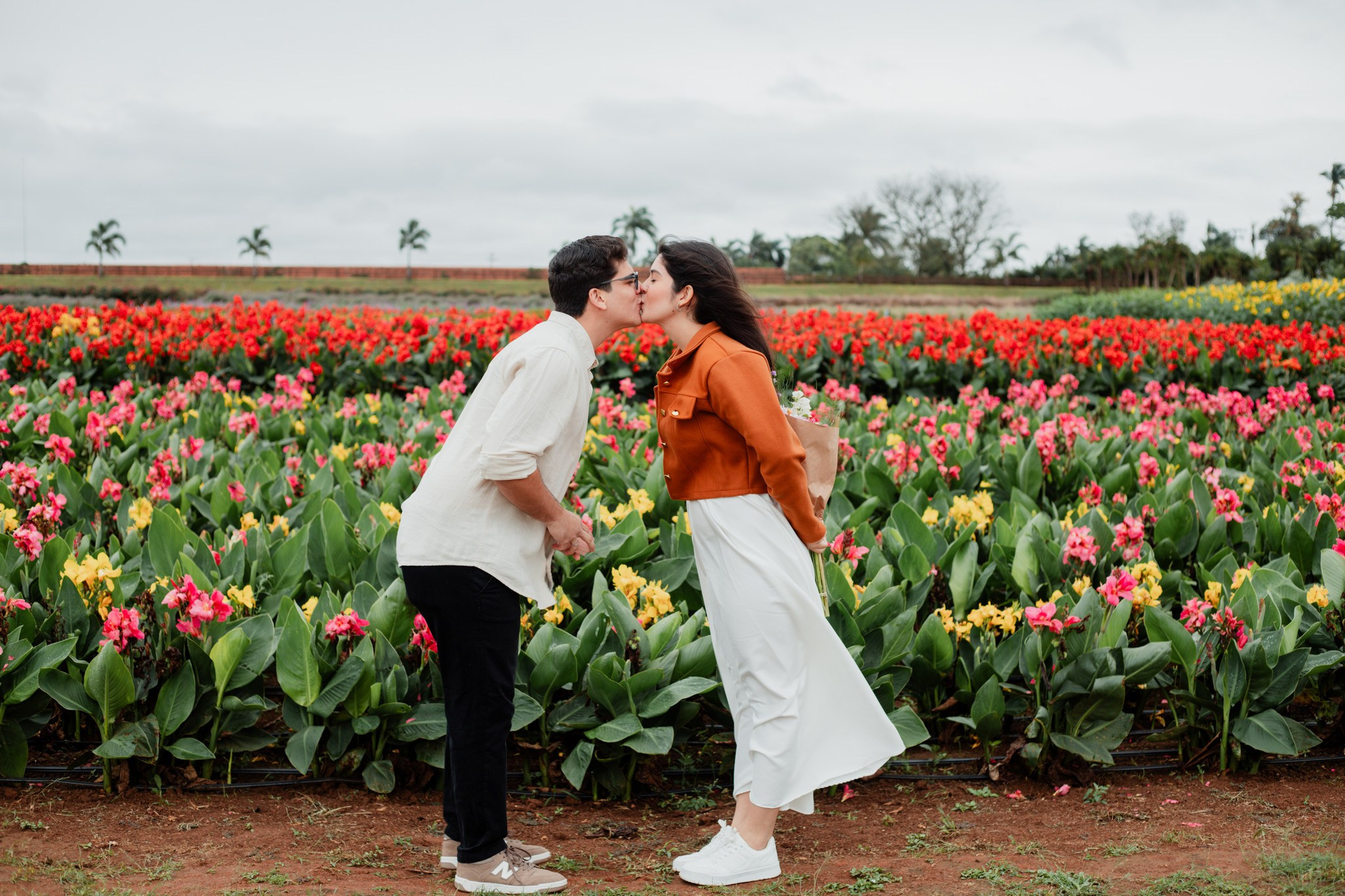 Pedido de casamento / Macena Flores. Joyce Maria Fotografia | Fotógrafa em Holambra